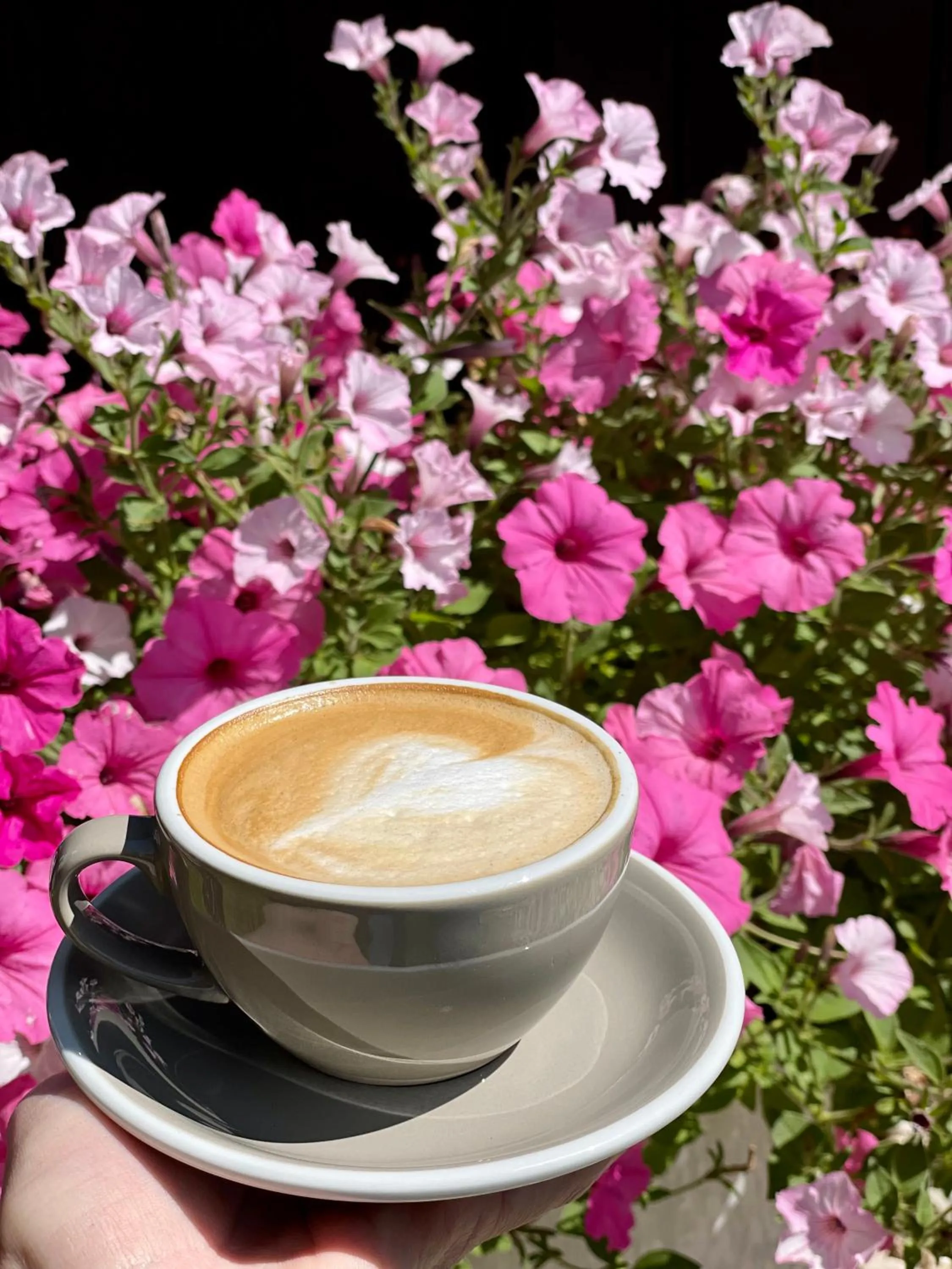 Drinks in Wellness Penzión Vila Mery