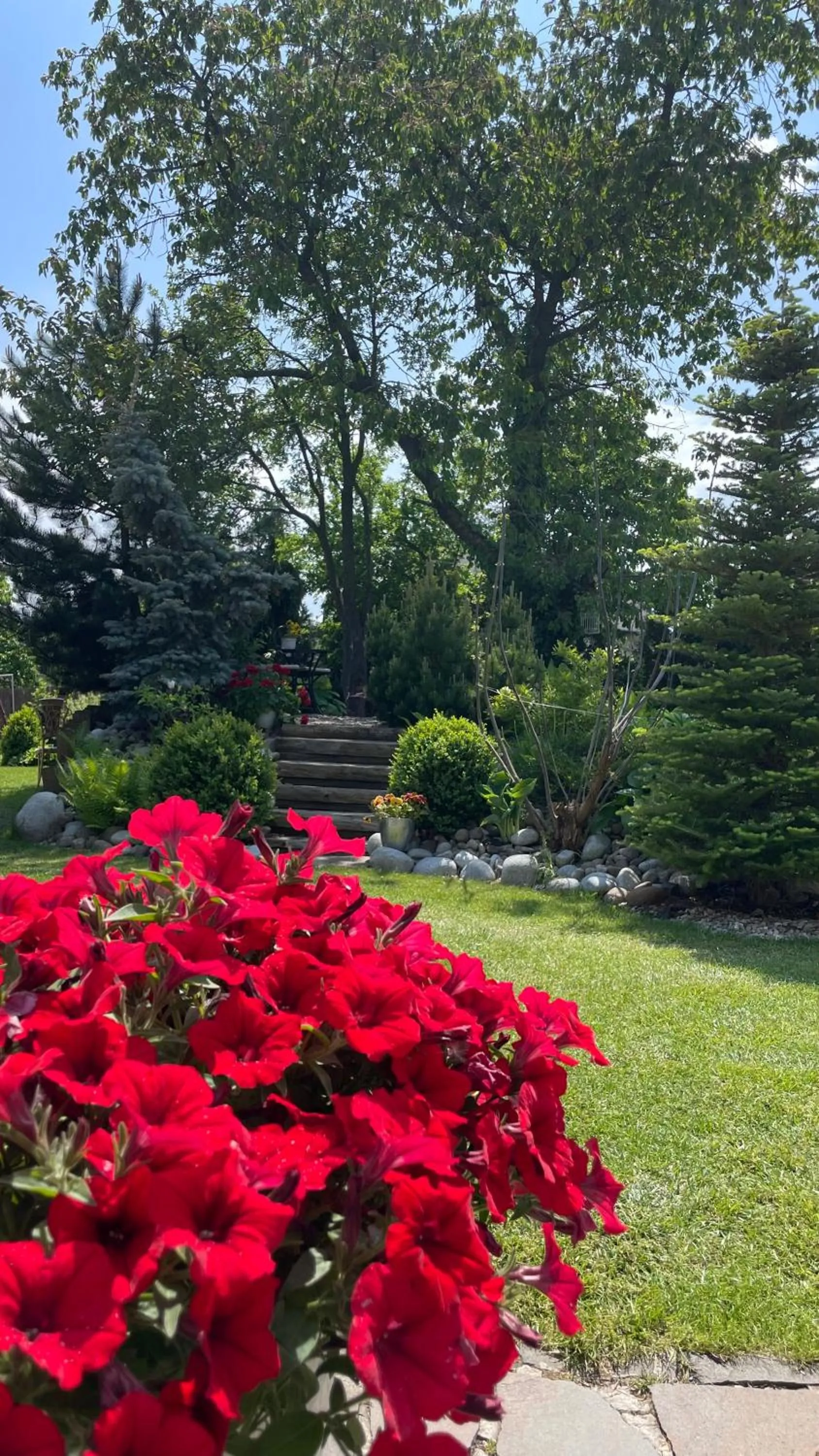 Garden in Wellness Penzión Vila Mery