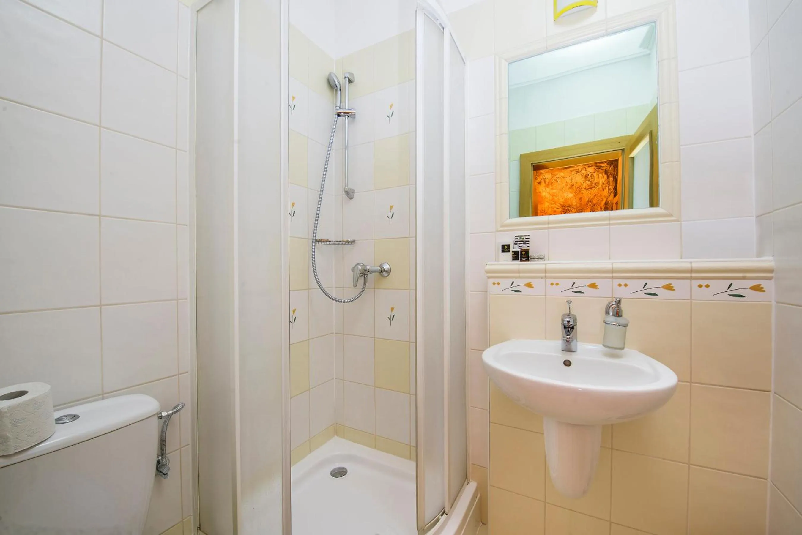 Shower in Wellness Penzión Vila Mery