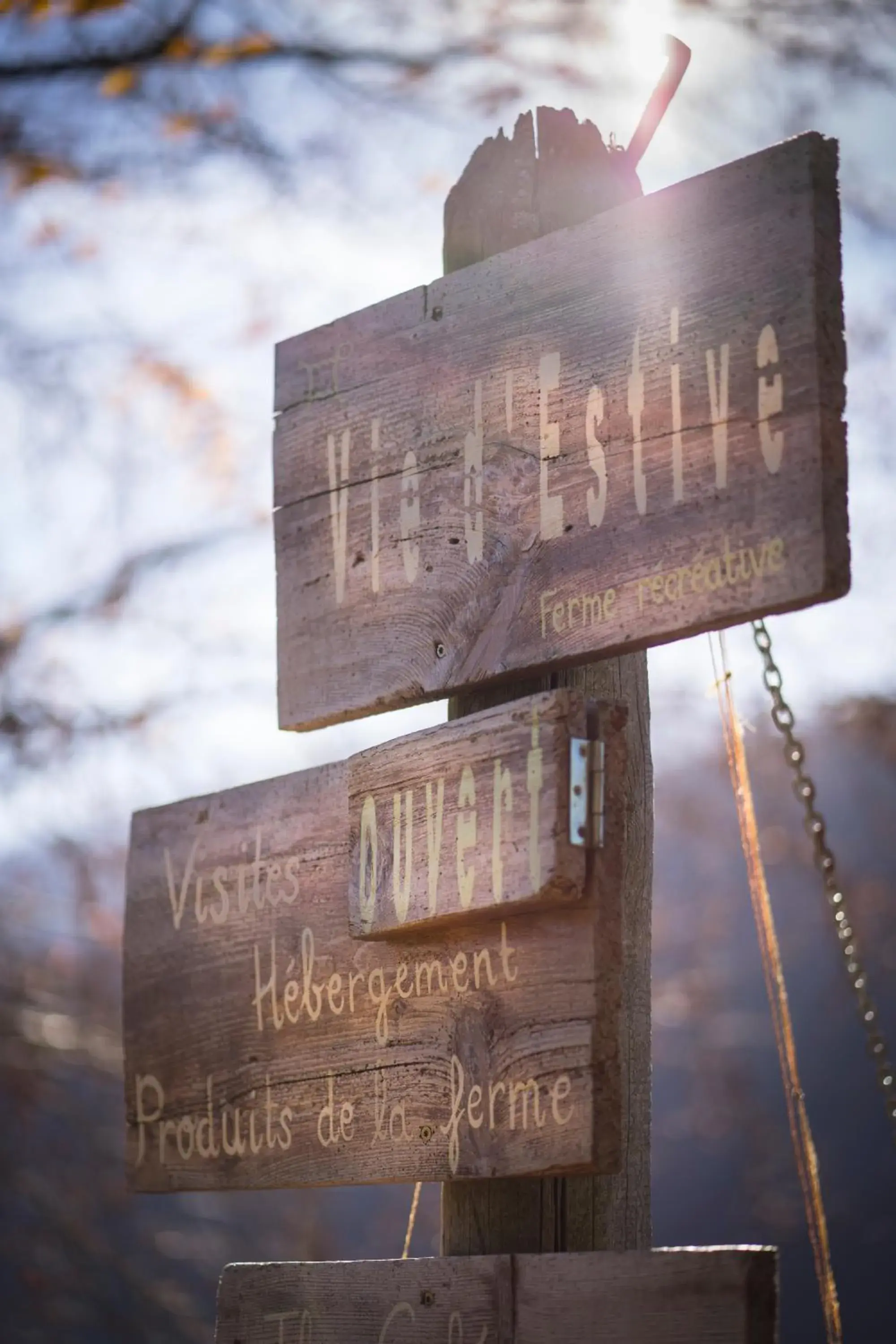 Other in Vie d'Estive Other in Vie d'Estive