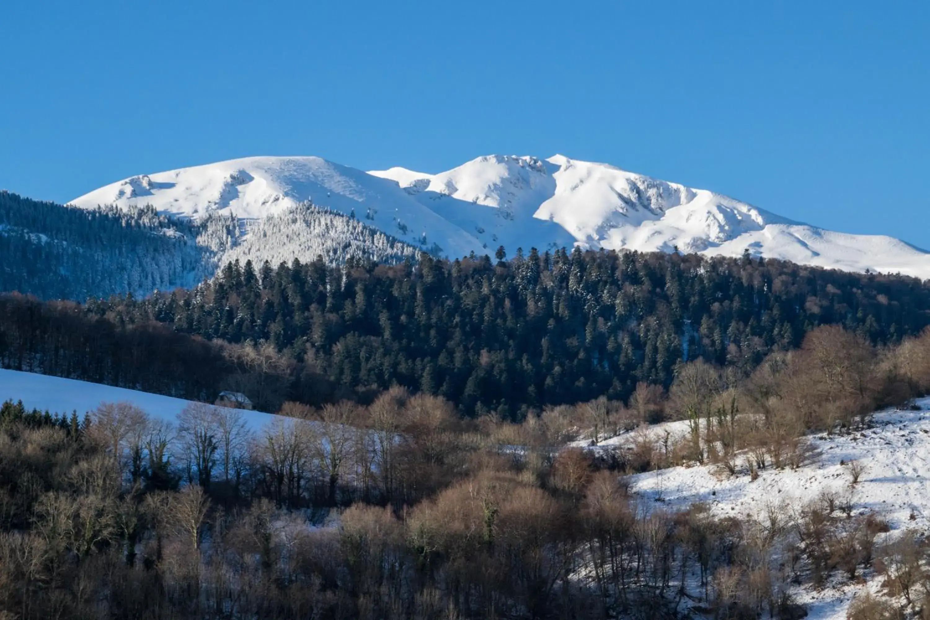 Other in Vie d'Estive Other in Vie d'Estive