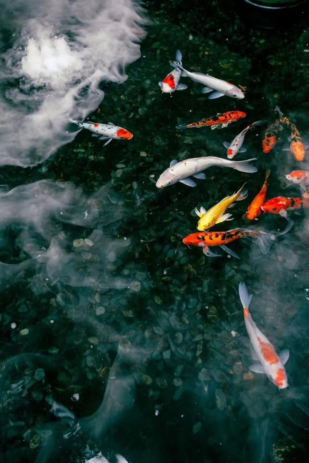 View (from property/room) in InterContinental Century City Chengdu