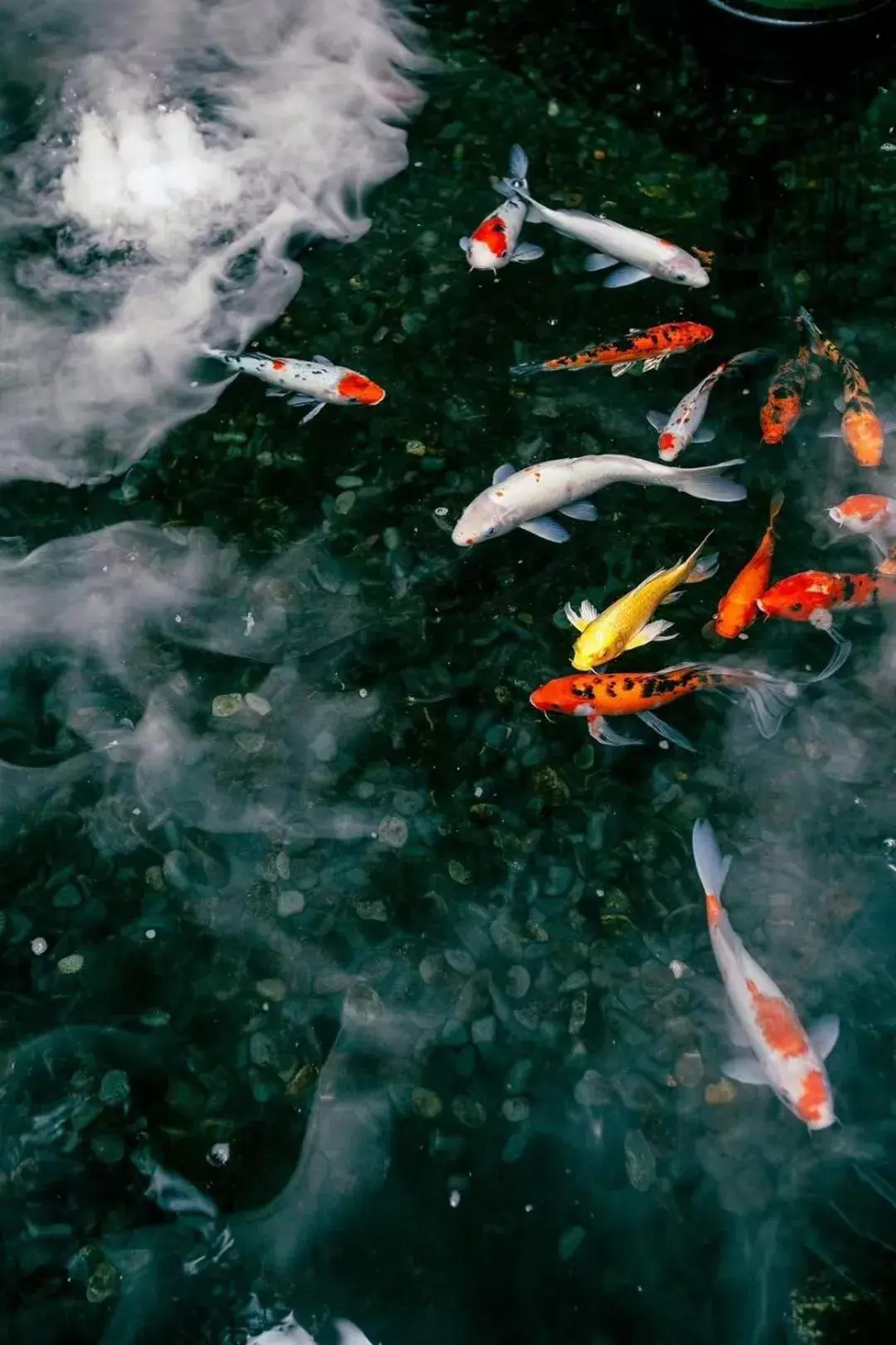 View (from property/room) in InterContinental Century City Chengdu View (from property/room) in InterContinental Century City Chengdu