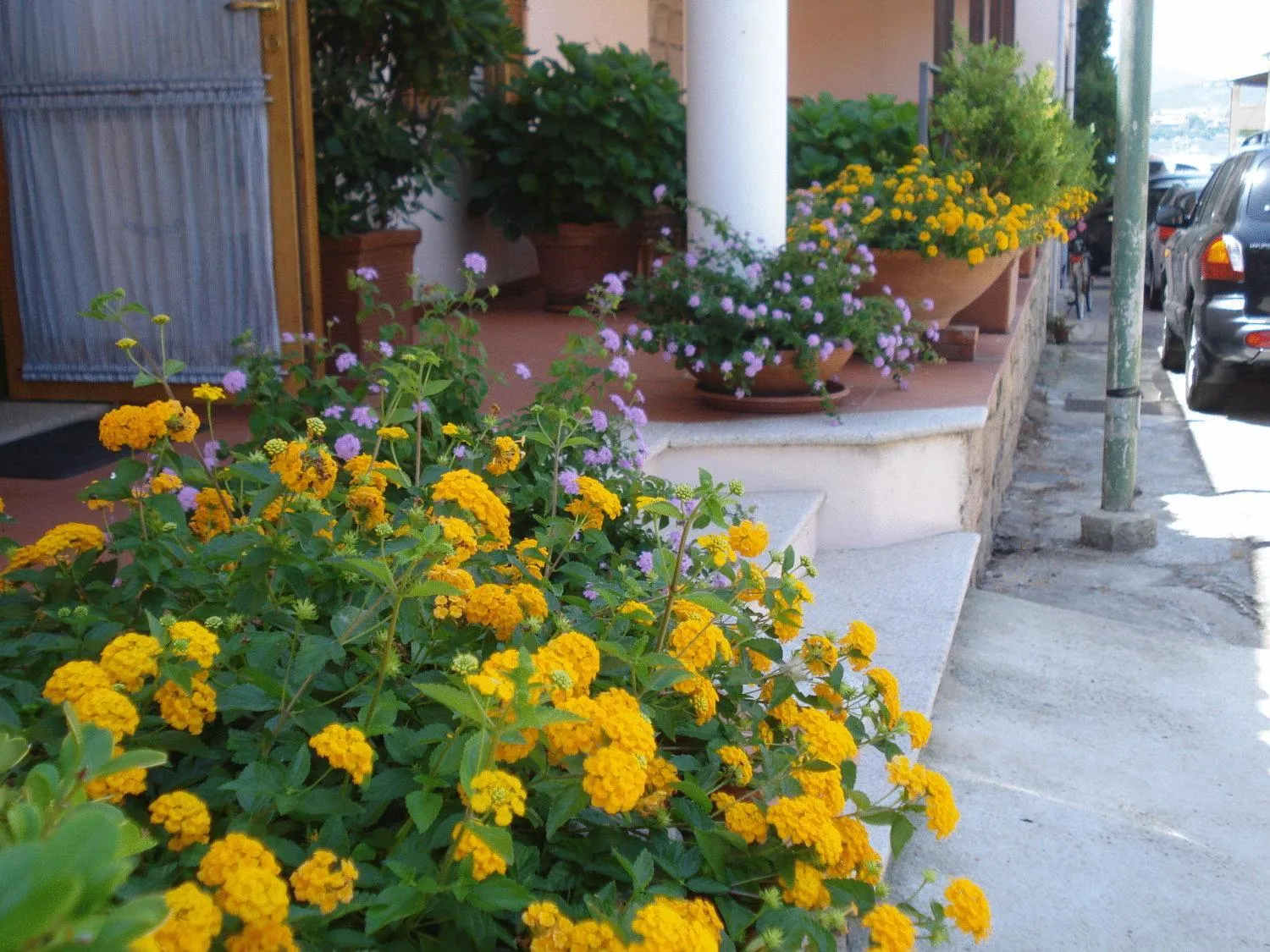 Patio in Hotel La Lampara