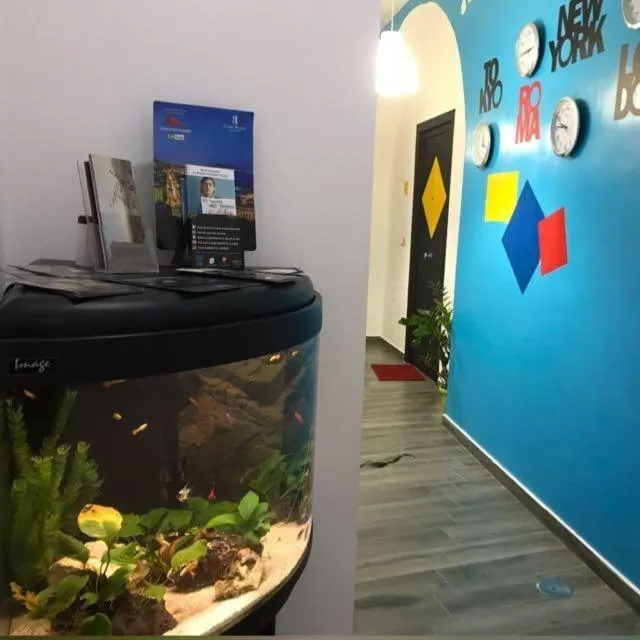 Staff in B&B City Center