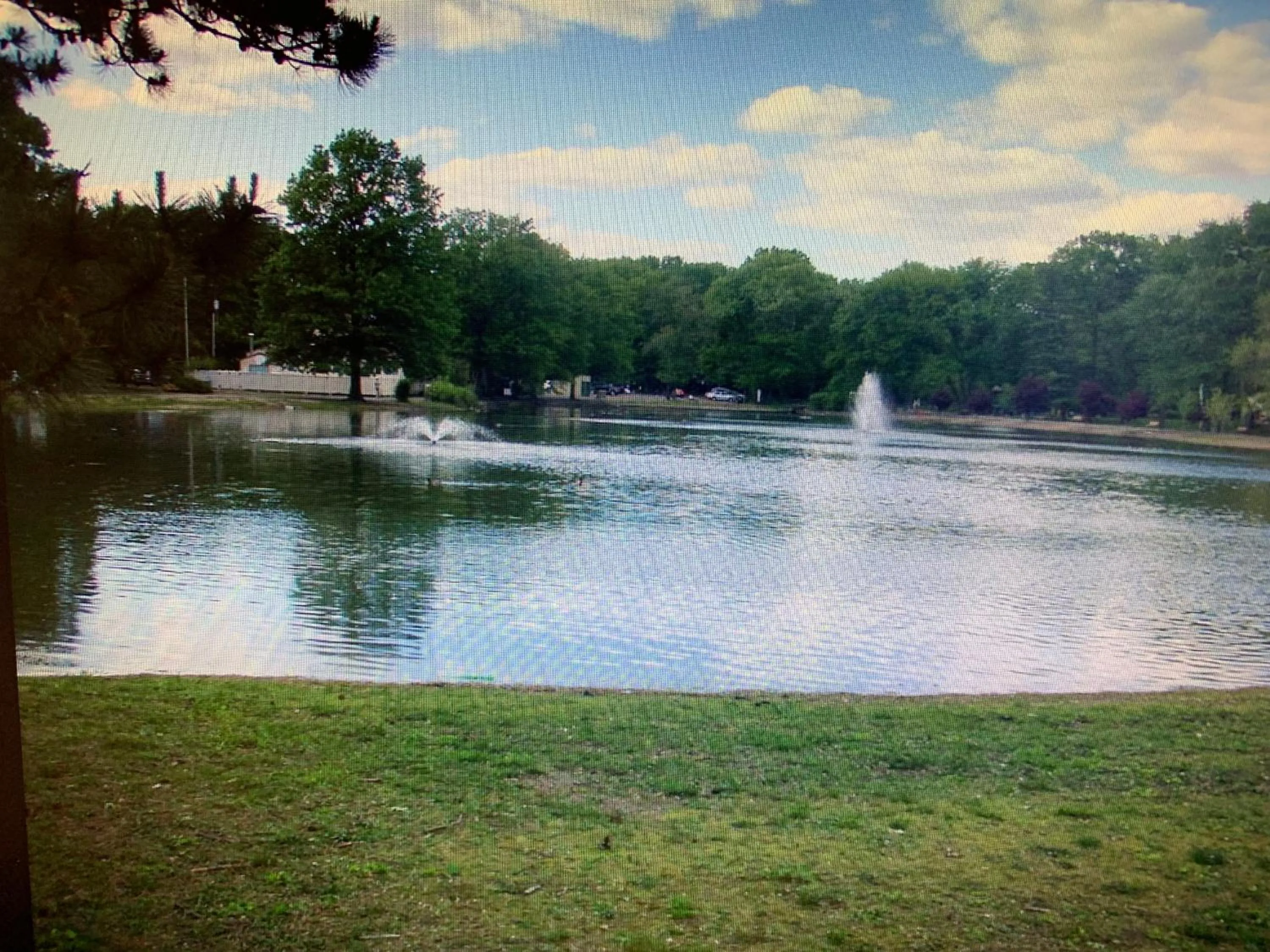 Natural landscape in Red Carpet Inn Elmwood