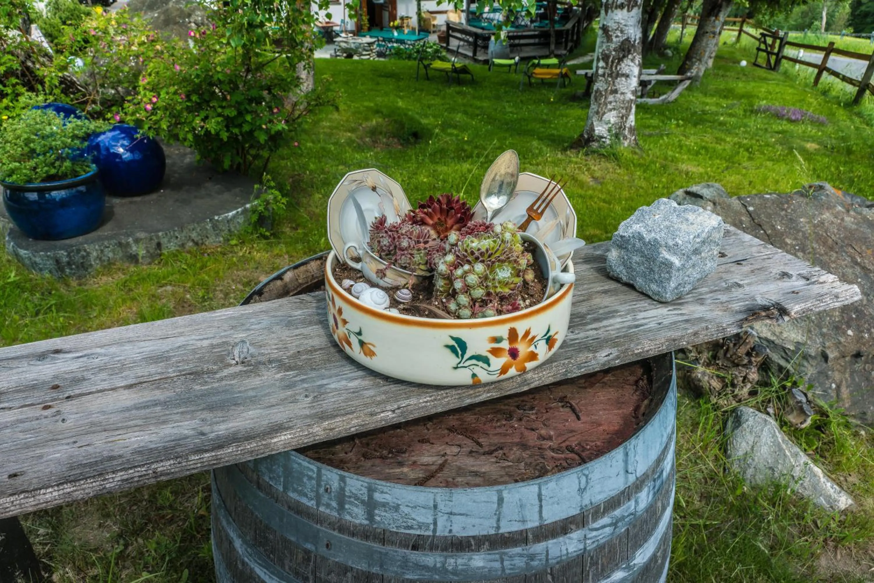 Garden in Hotel Ucliva