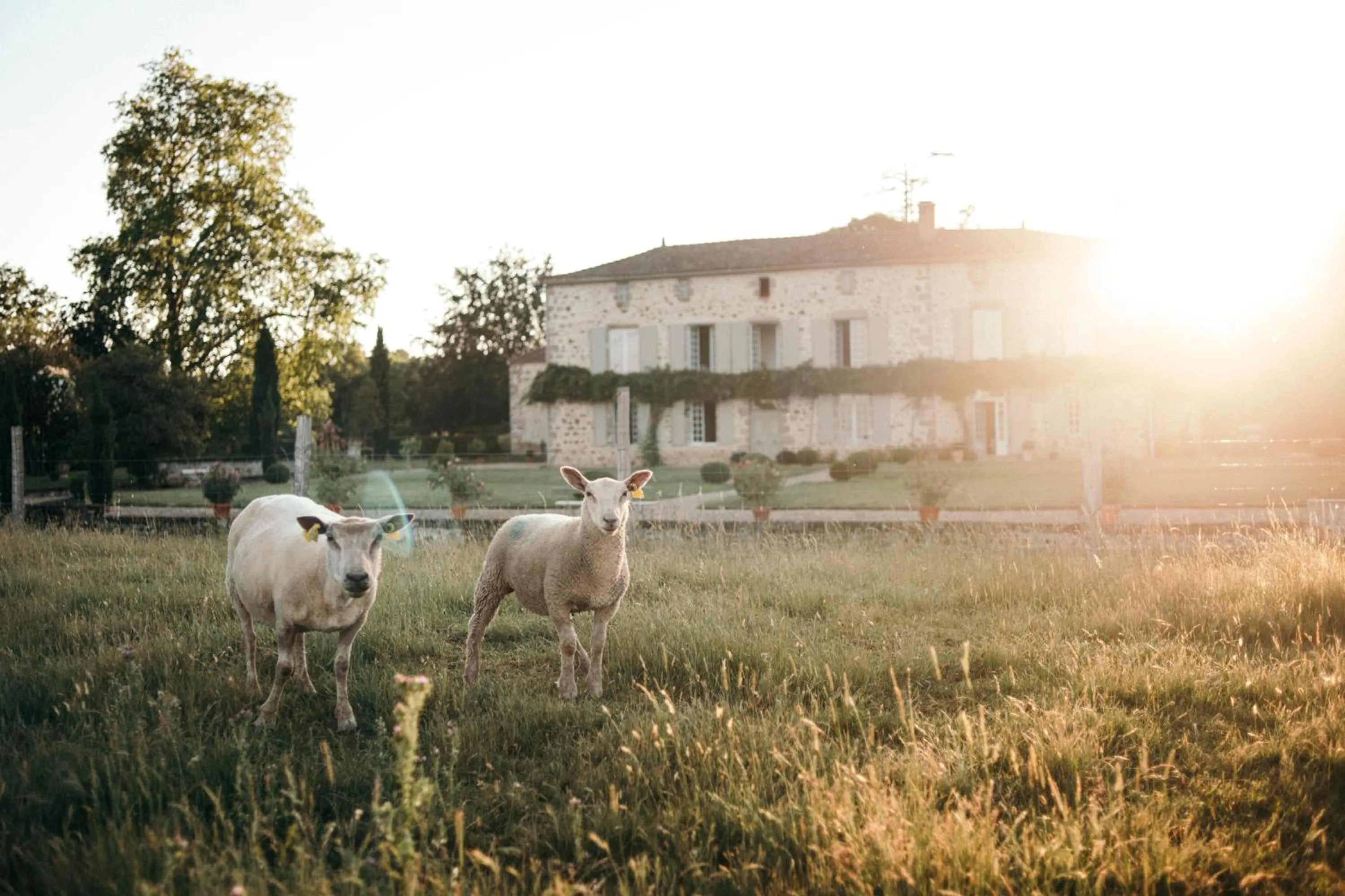 DOMAINE de la PARTOUCIE