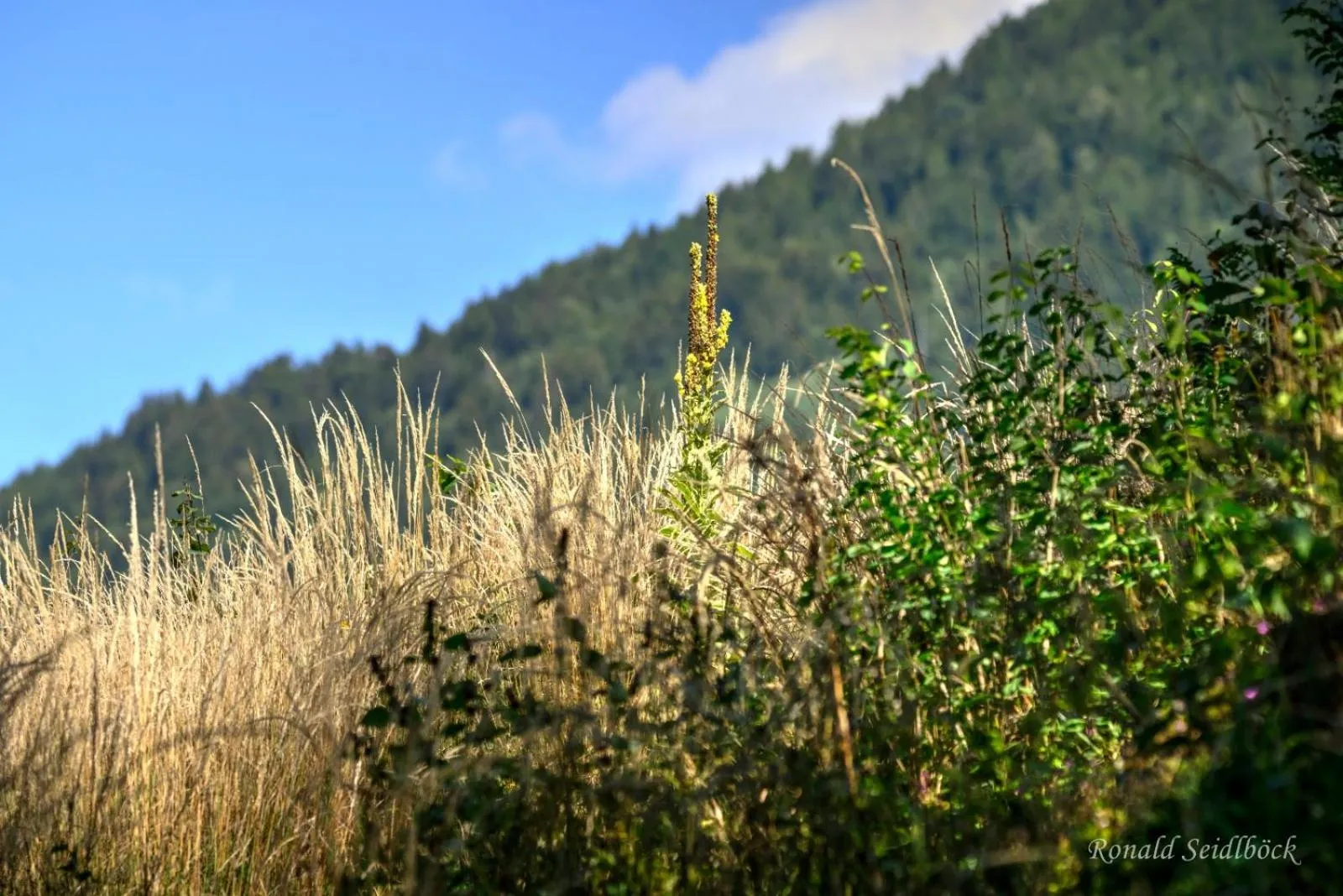 Hotel Bruggner Stub`n