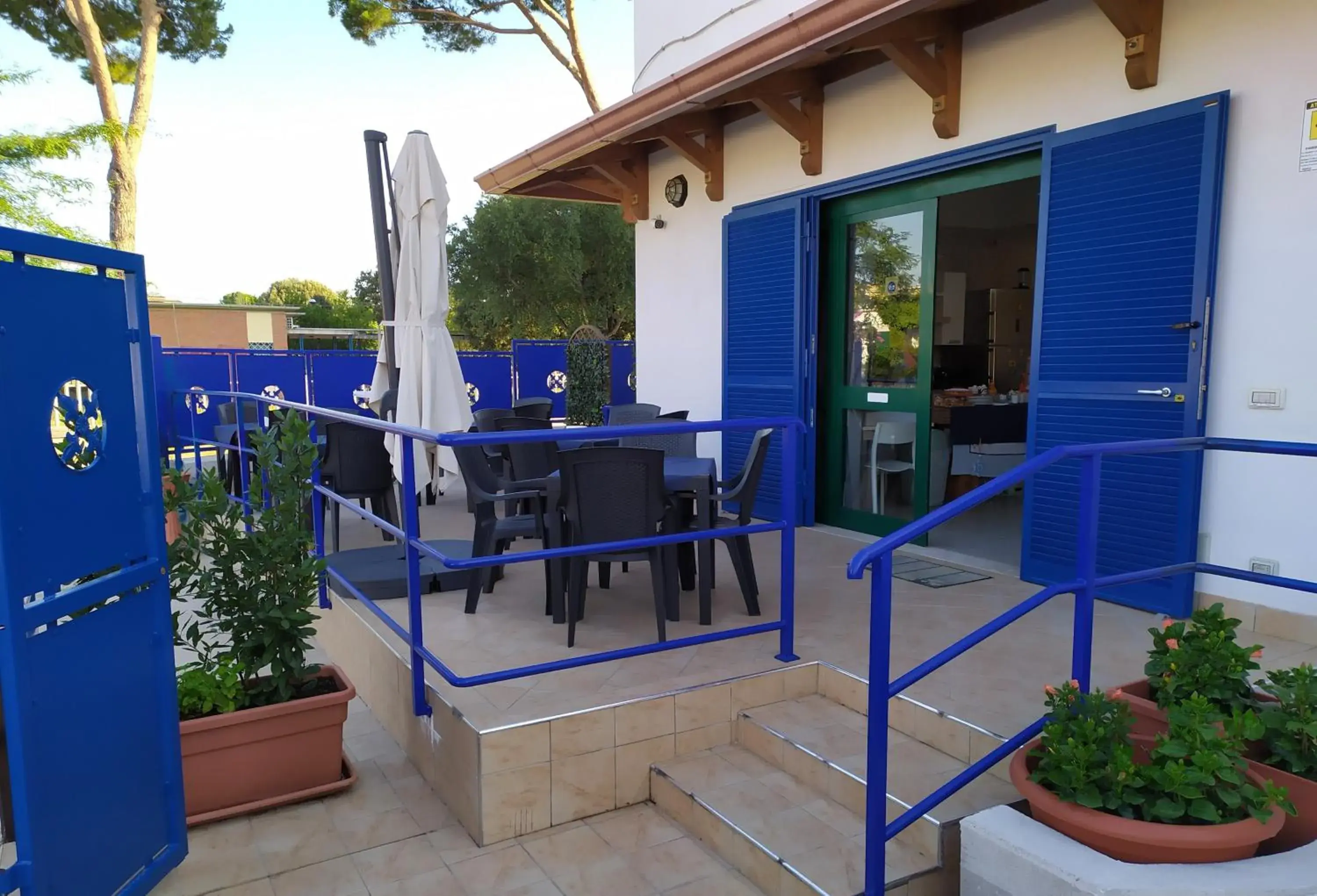 Coccinella Coccinella