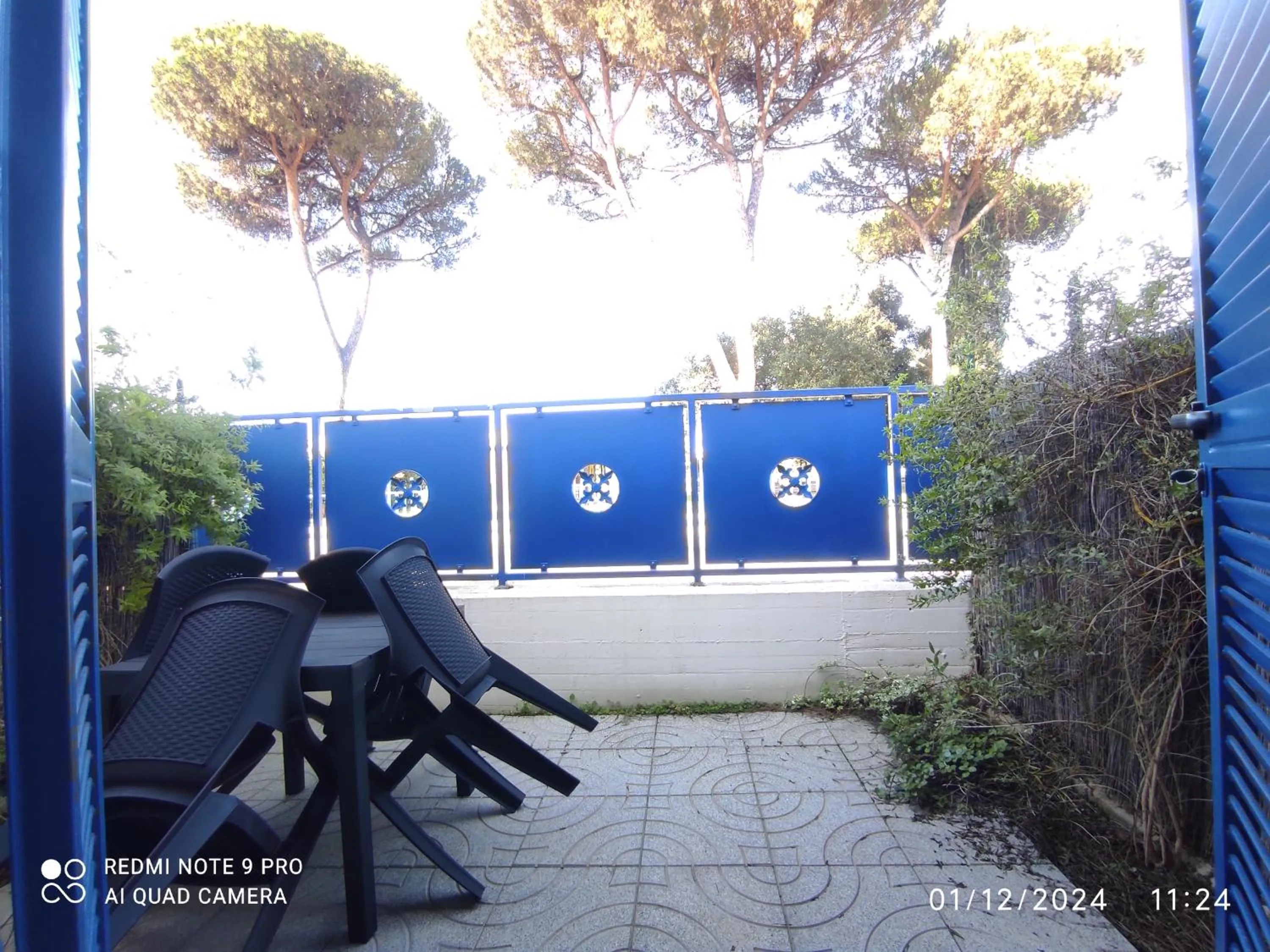 Garden view in Coccinella