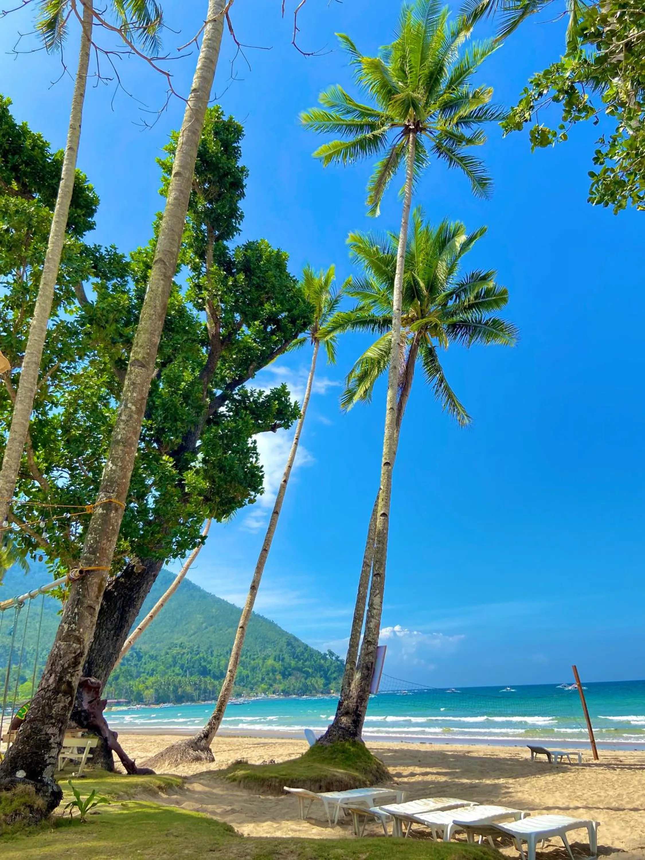 Hill Myna Beach Cottages