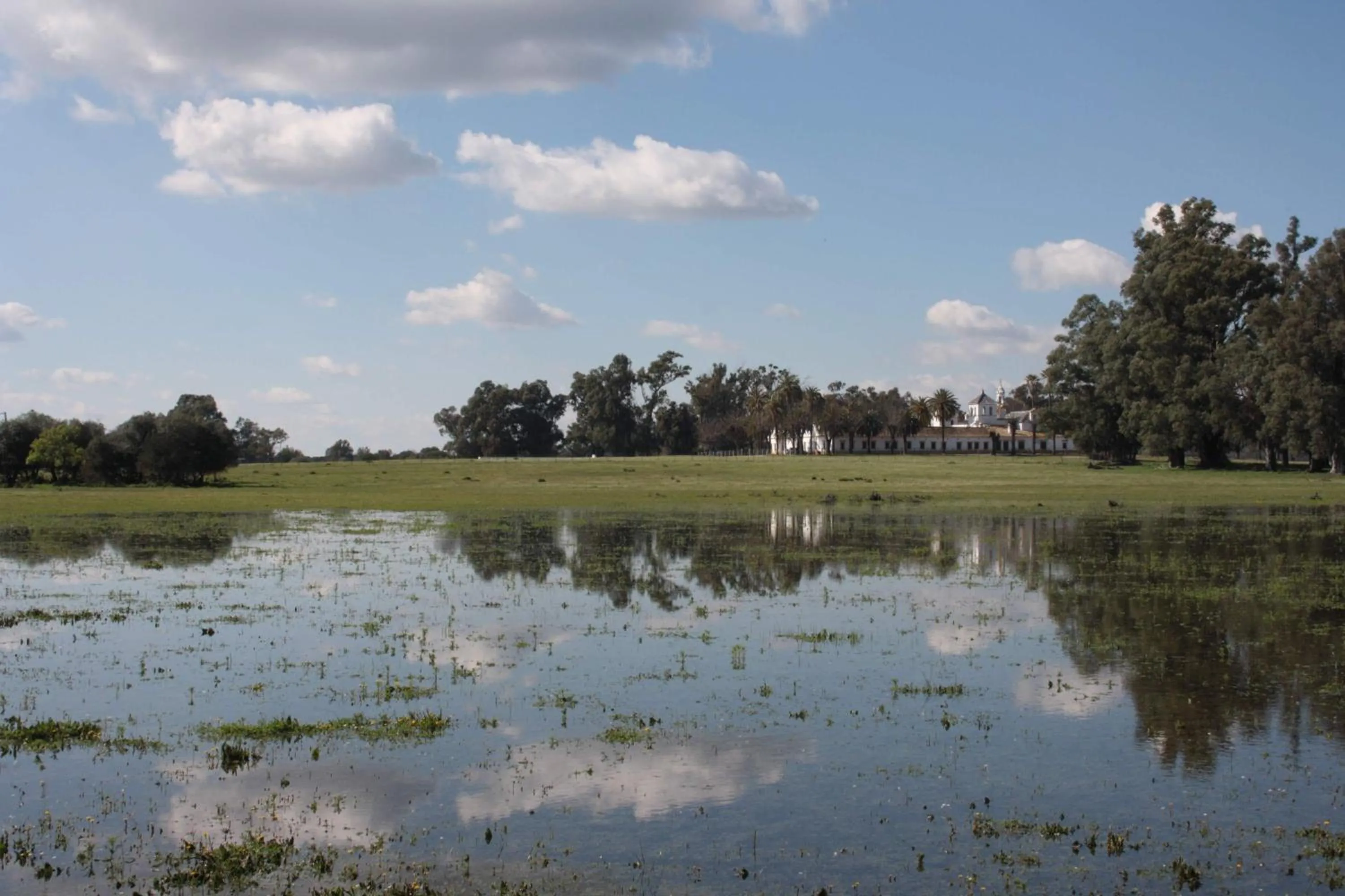 Area and facilities in Hacienda Olontigi