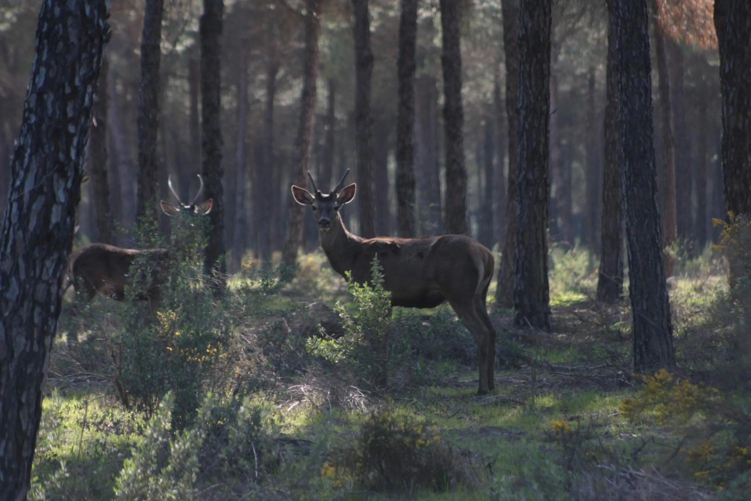 Activities in Hacienda Olontigi