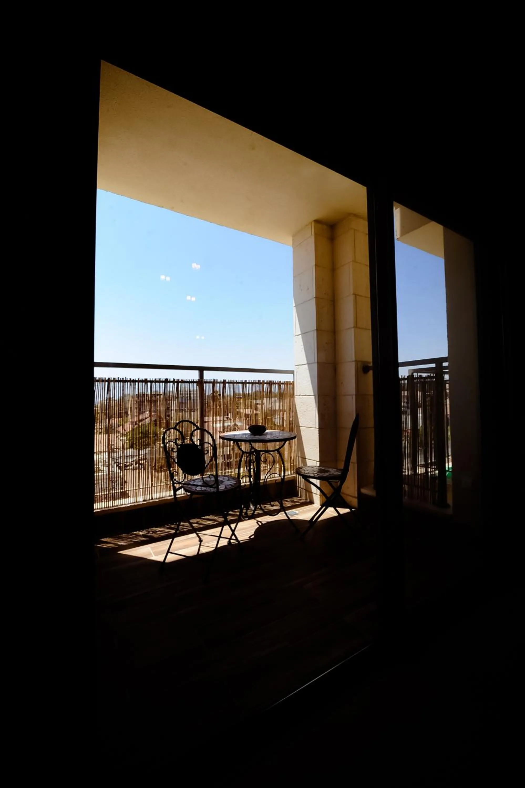 Balcony/Terrace in Berger's Apartment