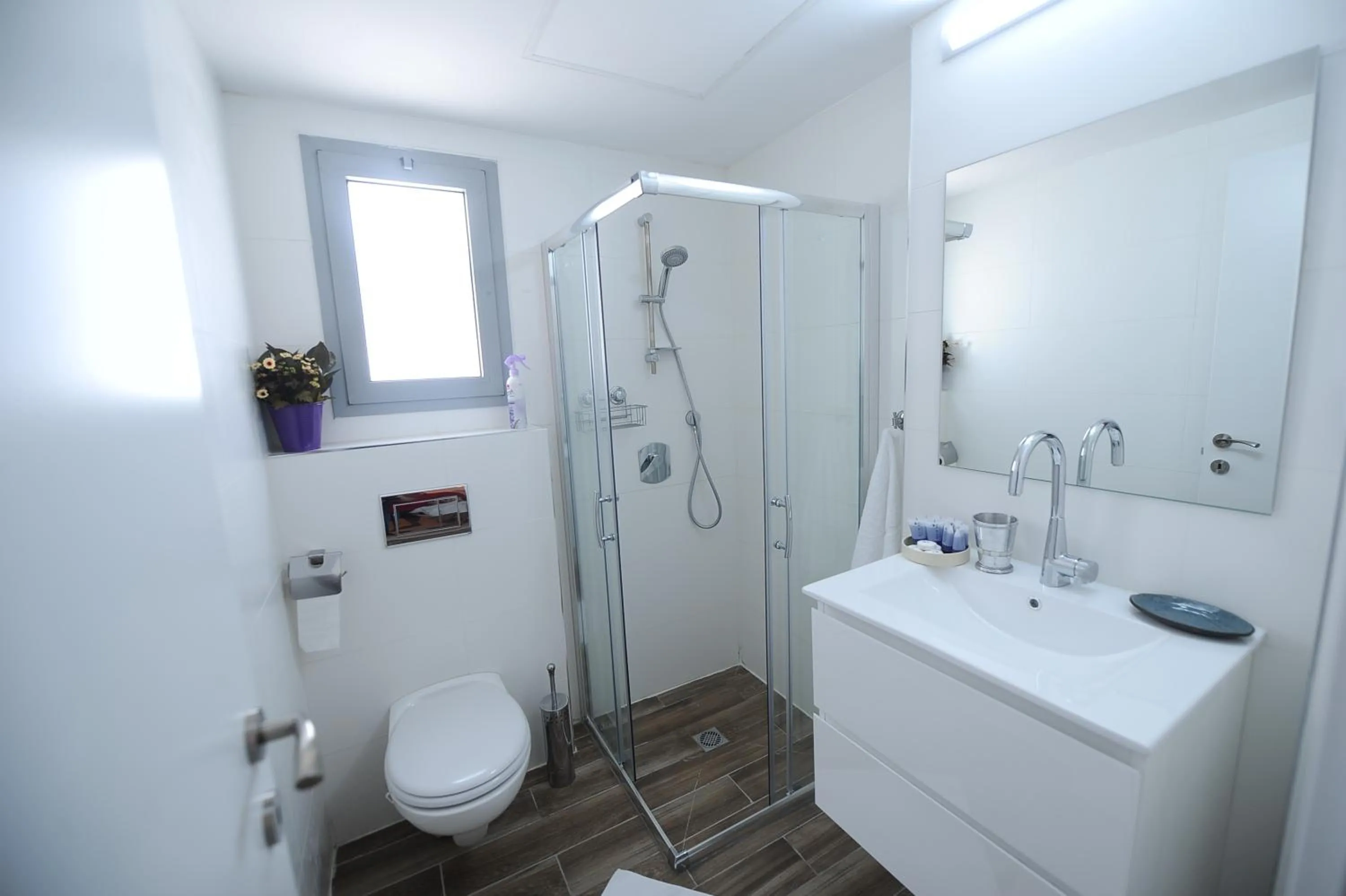 Bathroom in Berger's Apartment