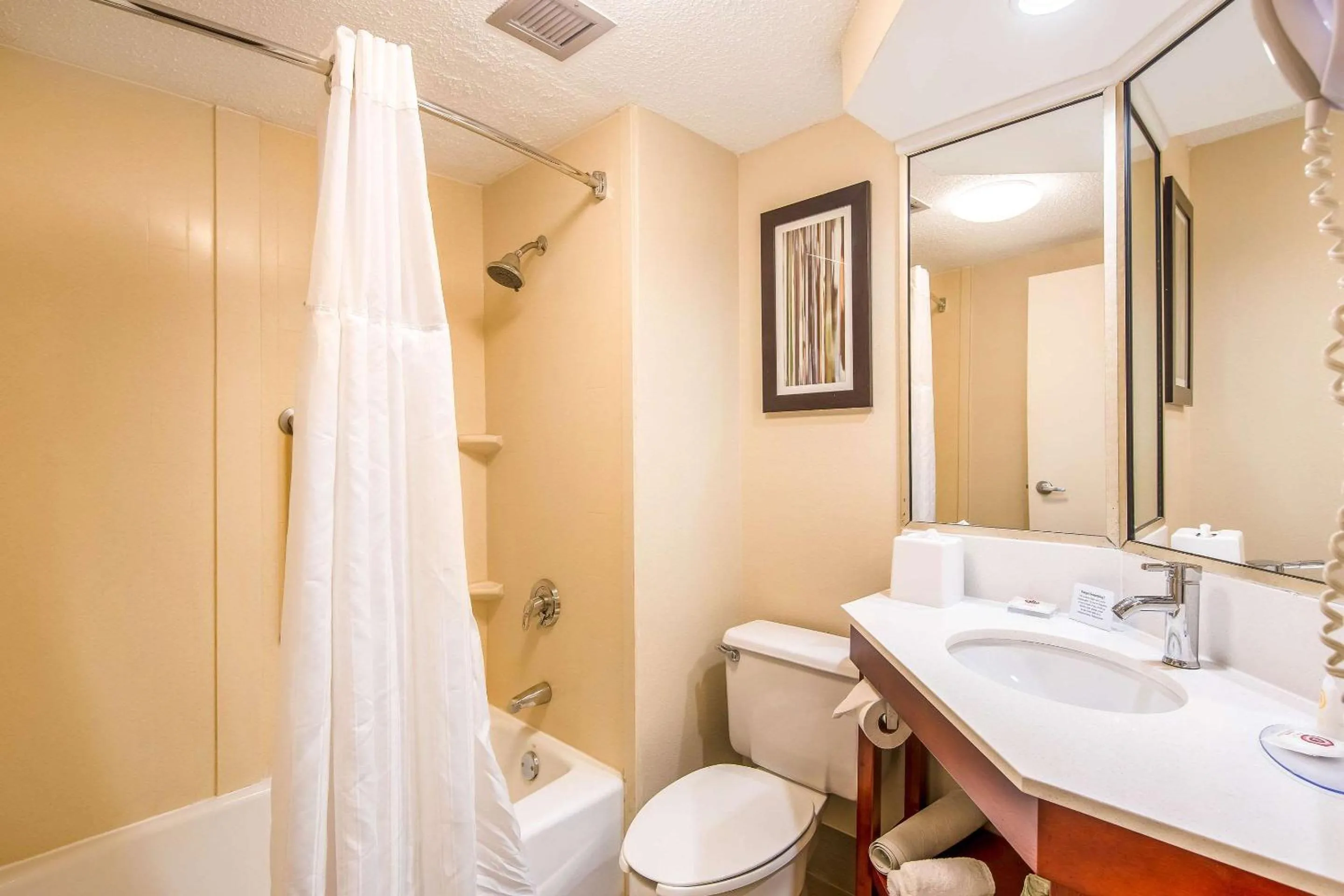 Bathroom in Comfort Inn Greenville - Haywood Mall