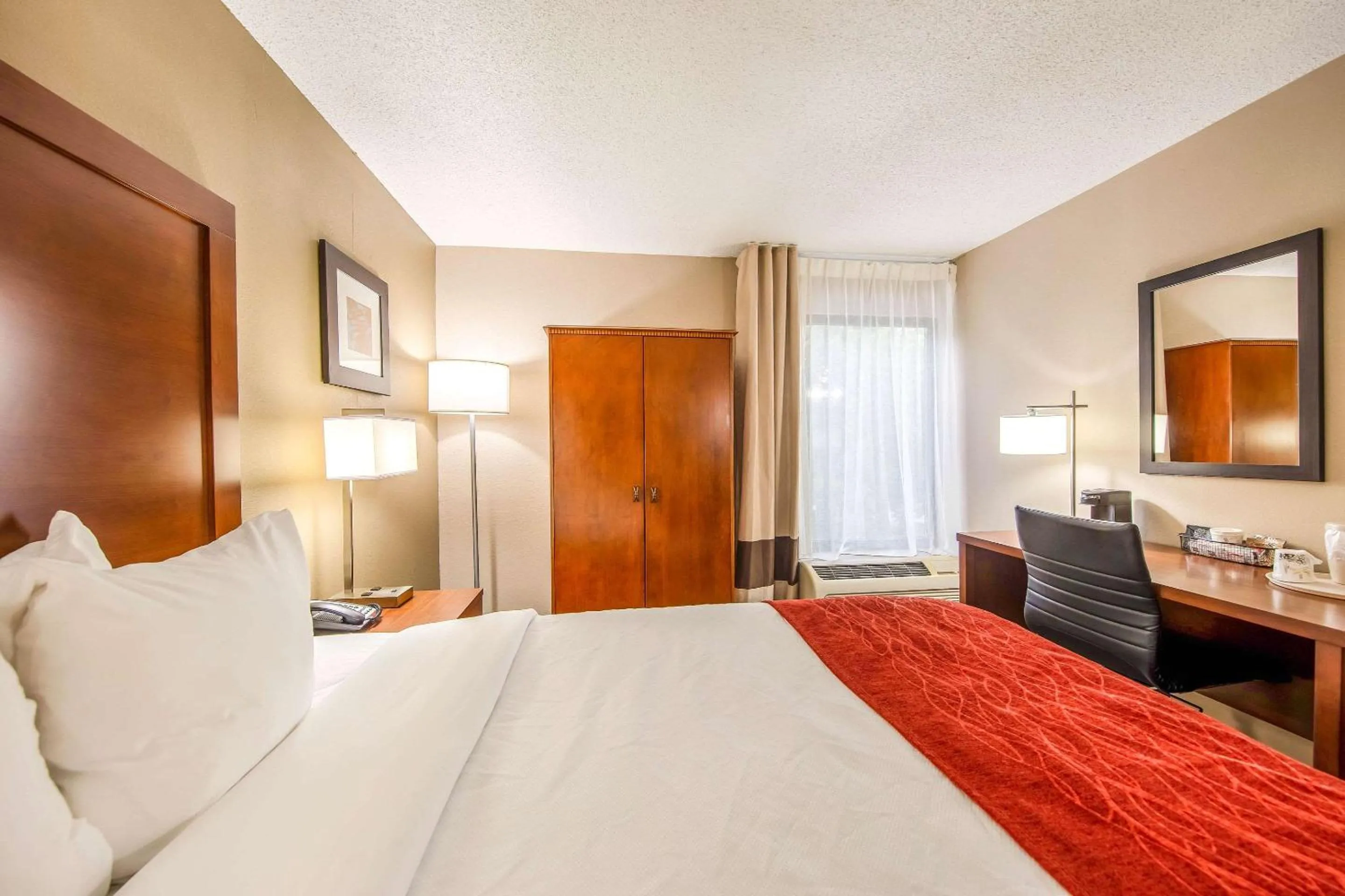 Queen Room - Disability Access in Comfort Inn Greenville - Haywood Mall