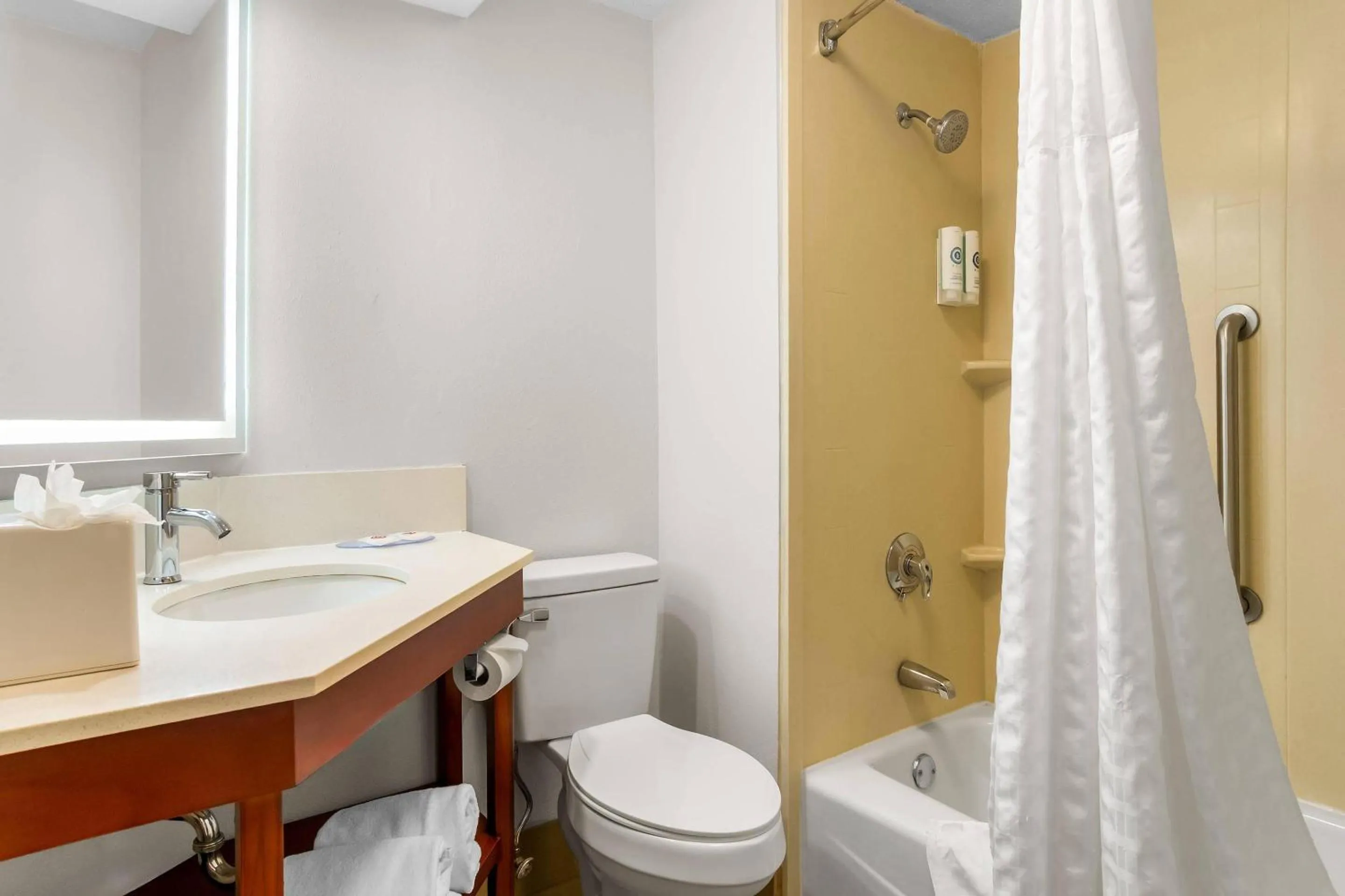 Bedroom in Comfort Inn Greenville - Haywood Mall