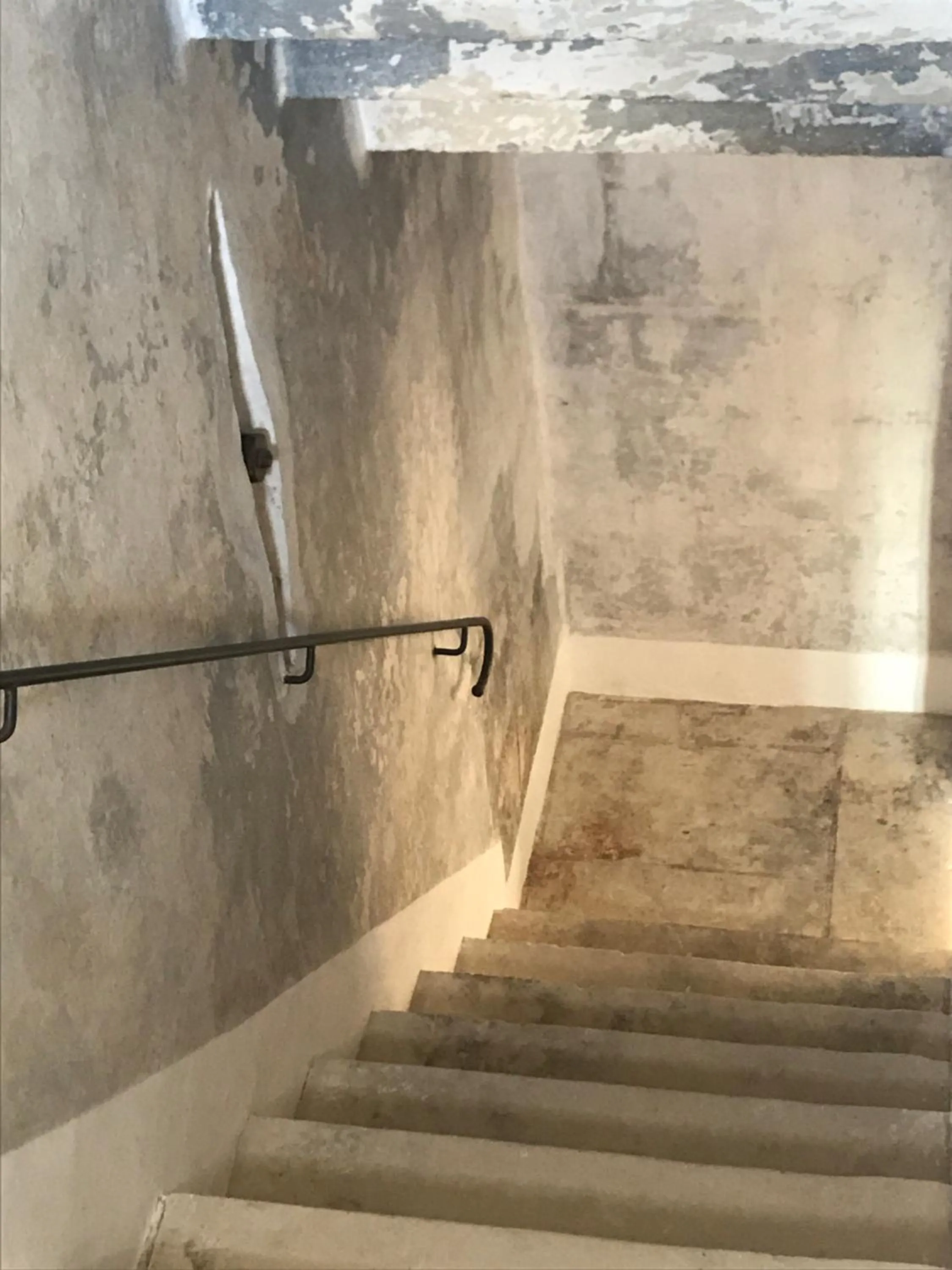 Other in Tenuta Castelle