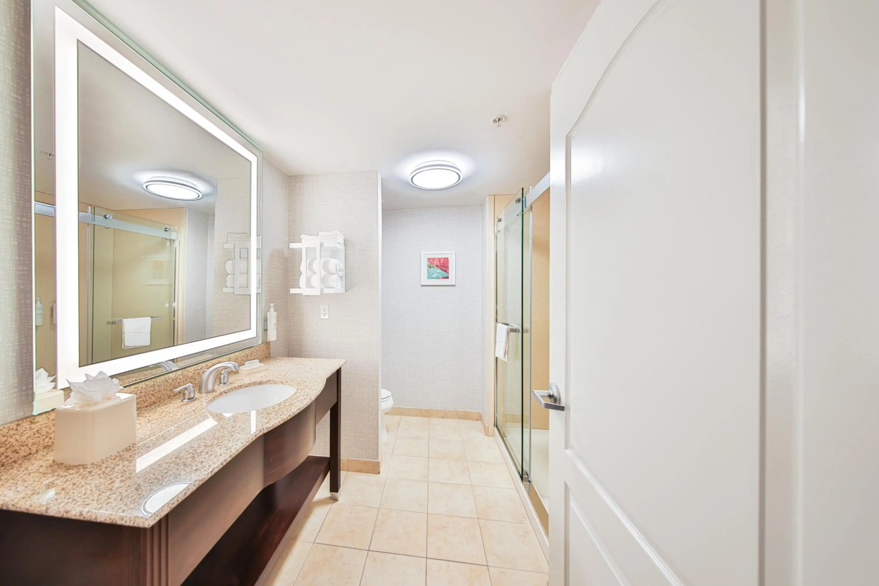 Shower in Hampton Inn & Suites by Hilton Seattle/Kent