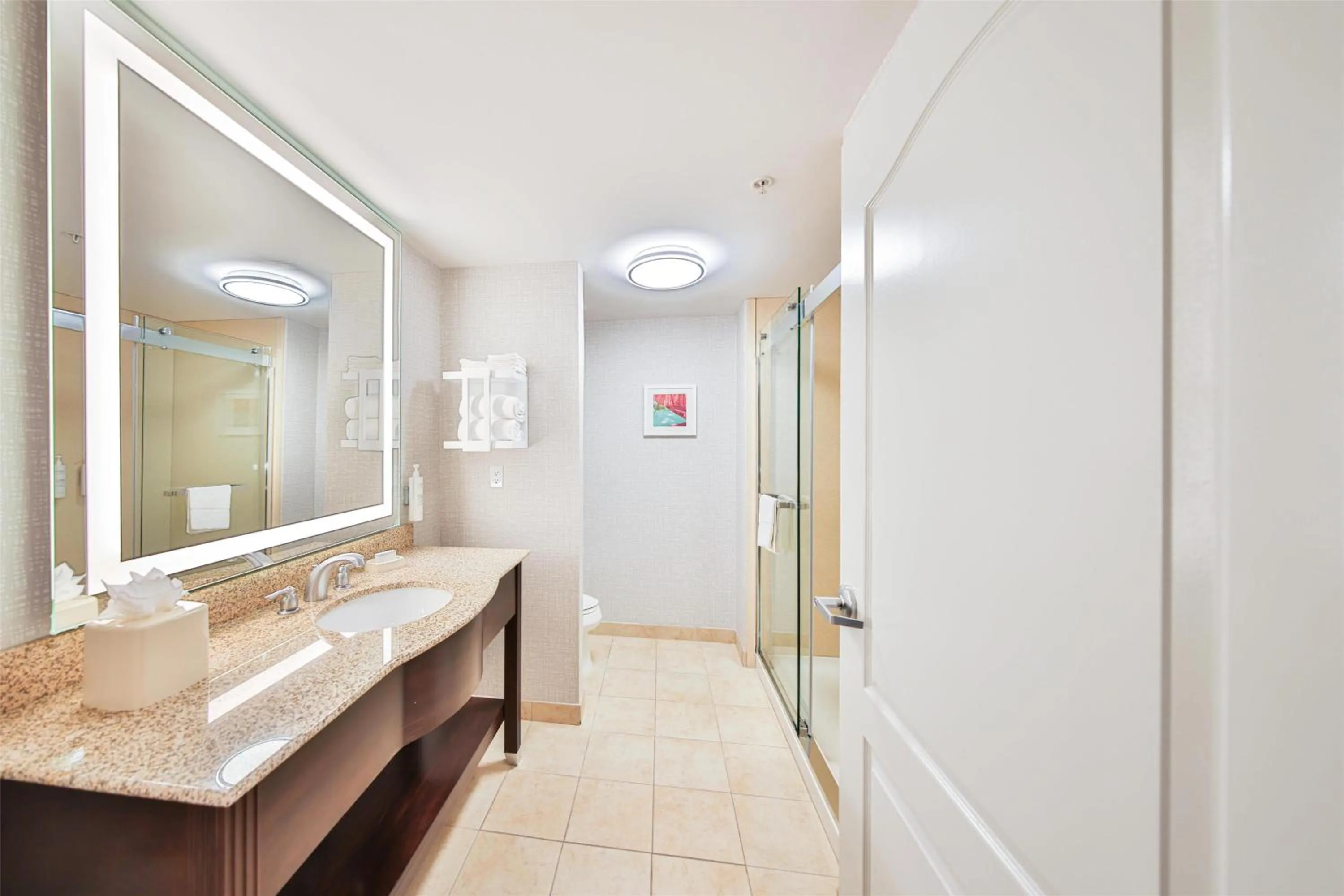 Bathroom in Hampton Inn & Suites by Hilton Seattle/Kent