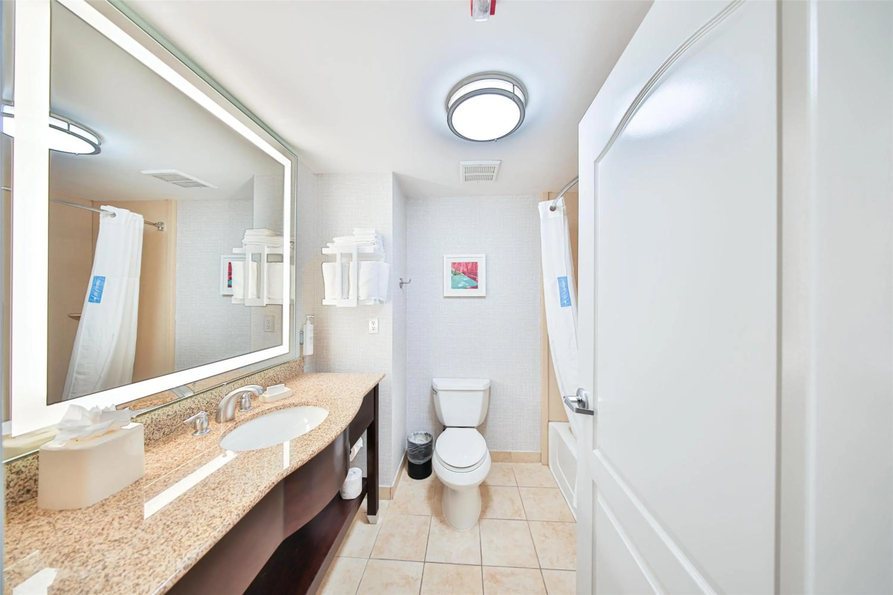 Bathroom in Hampton Inn & Suites by Hilton Seattle/Kent