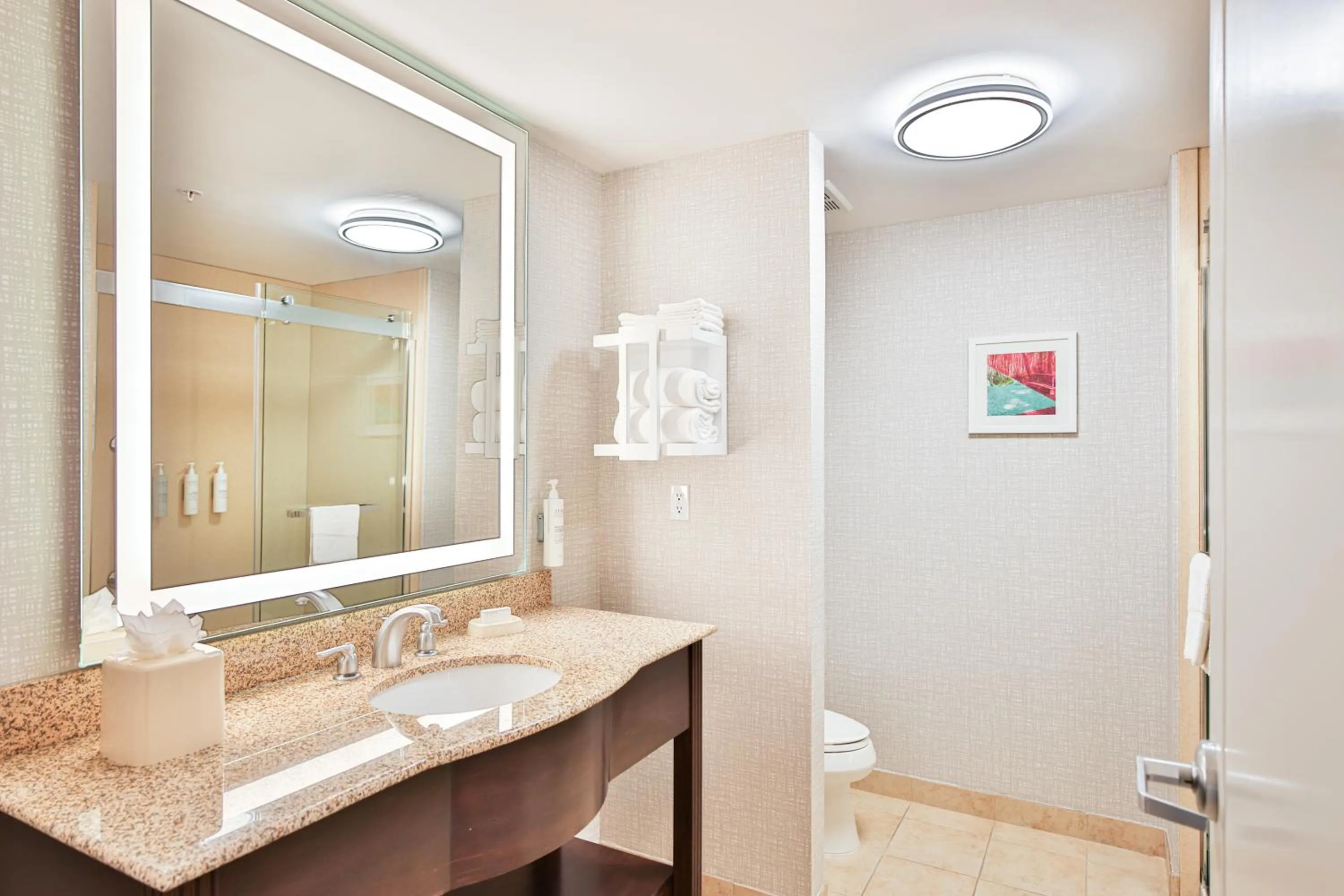 Shower in Hampton Inn & Suites by Hilton Seattle/Kent