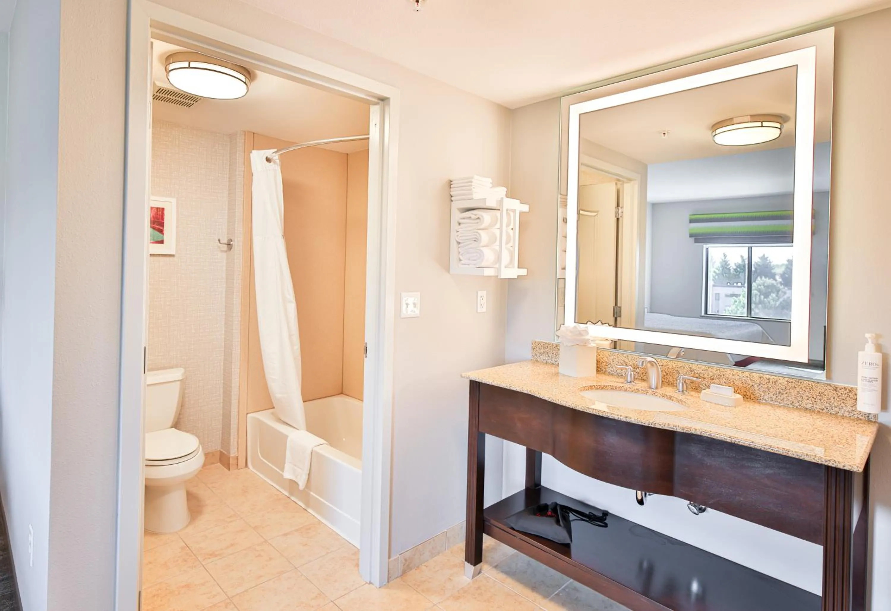 Shower in Hampton Inn & Suites by Hilton Seattle/Kent