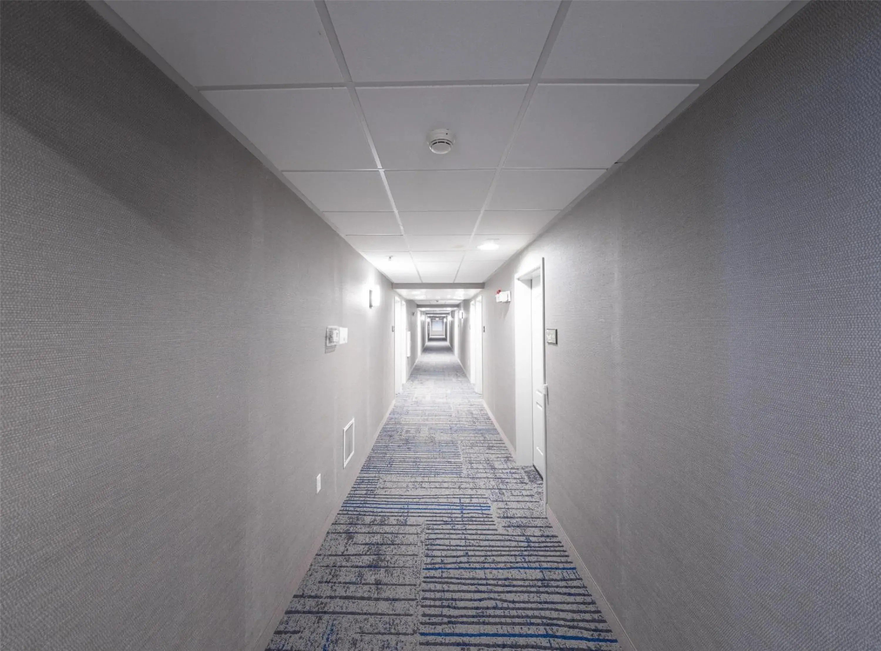 Lobby or reception in Hampton Inn & Suites by Hilton Seattle/Kent Lobby or reception in Hampton Inn & Suites by Hilton Seattle/Kent