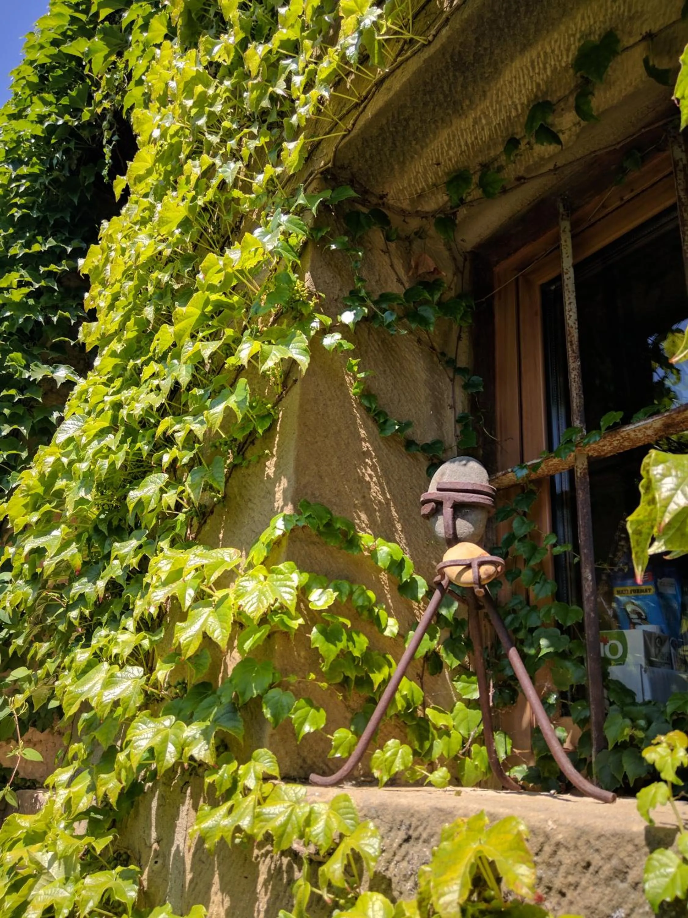 Garden in El Corral De Concilio