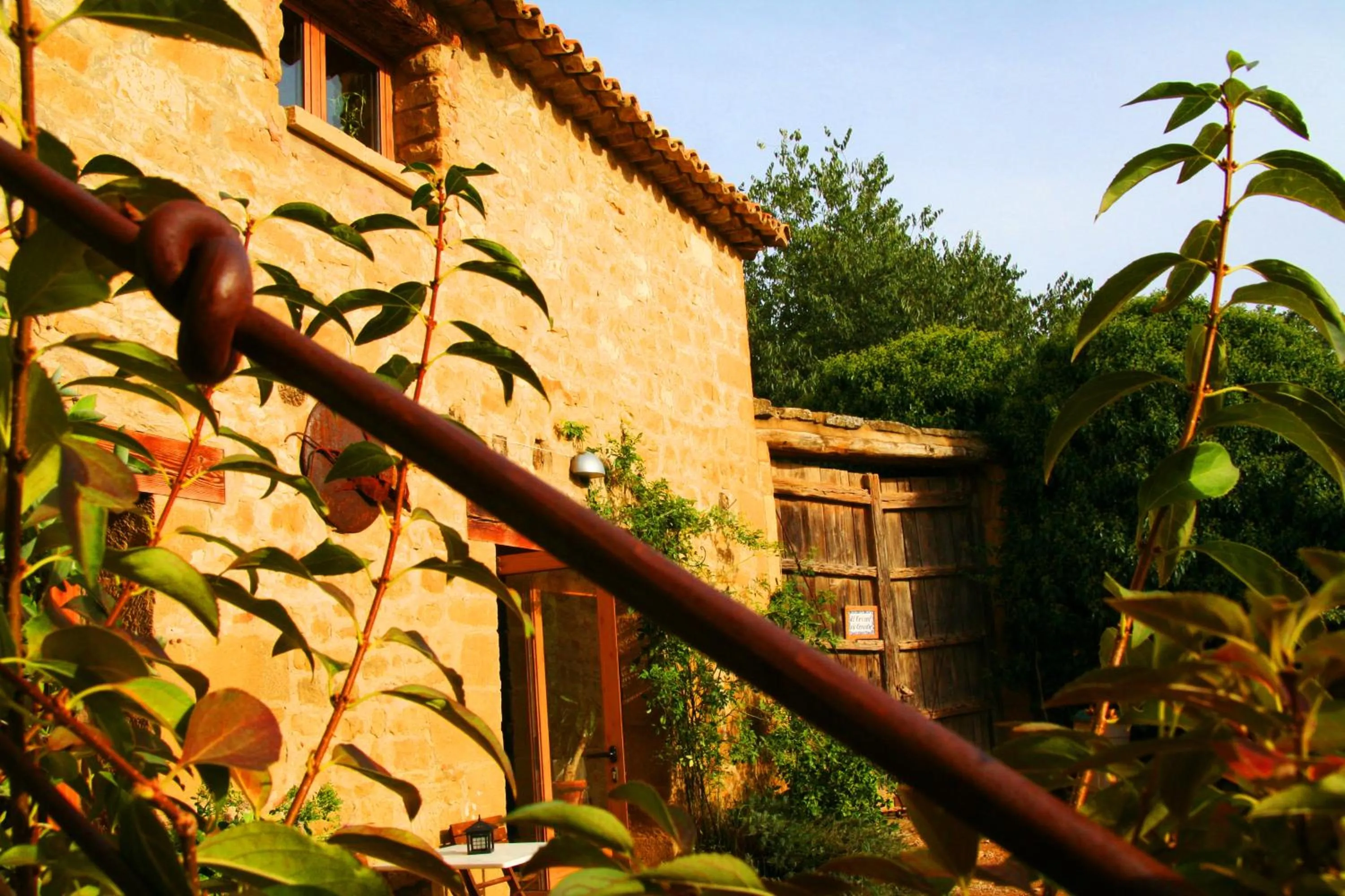 Garden in El Corral De Concilio