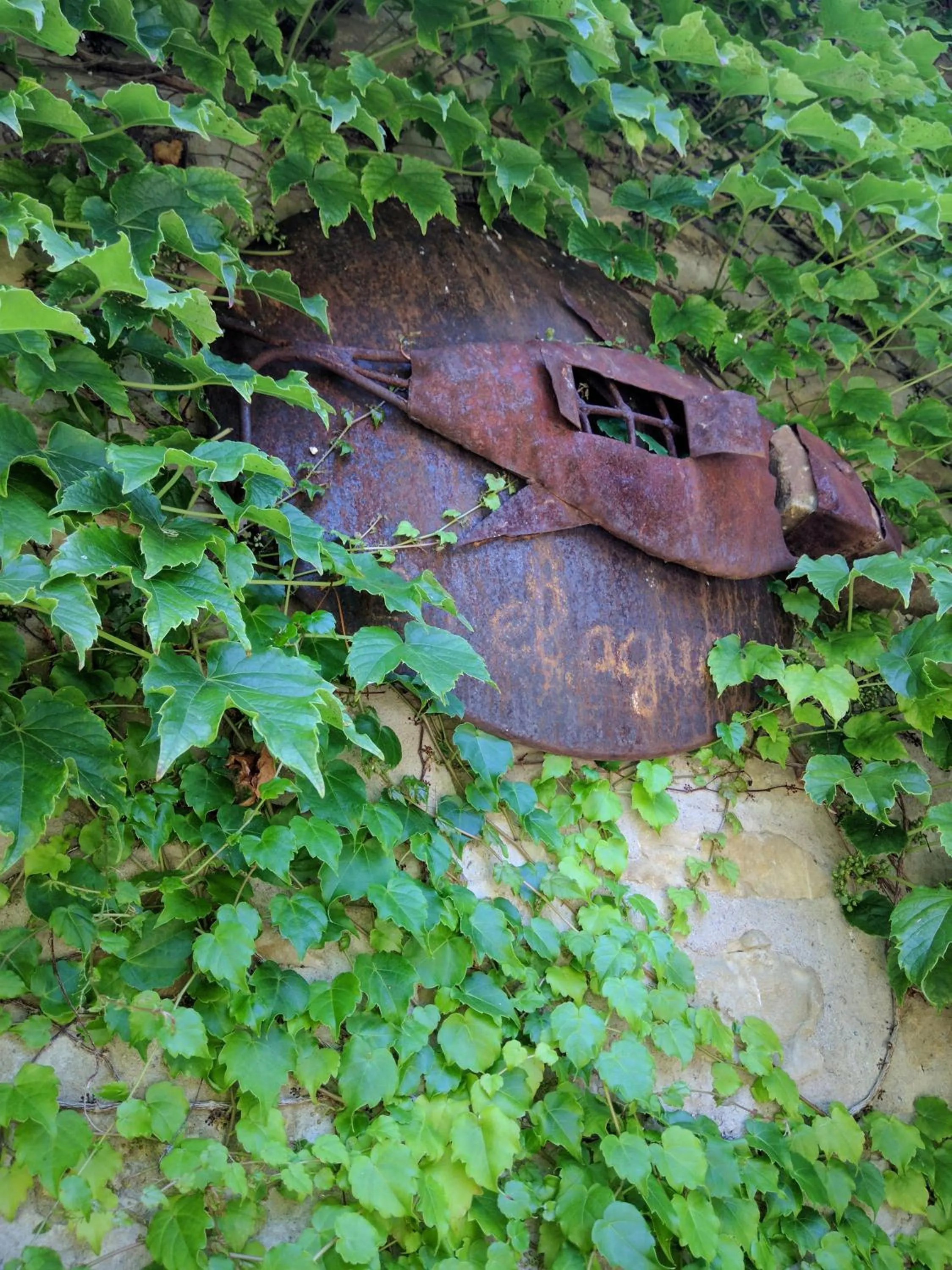 Garden in El Corral De Concilio