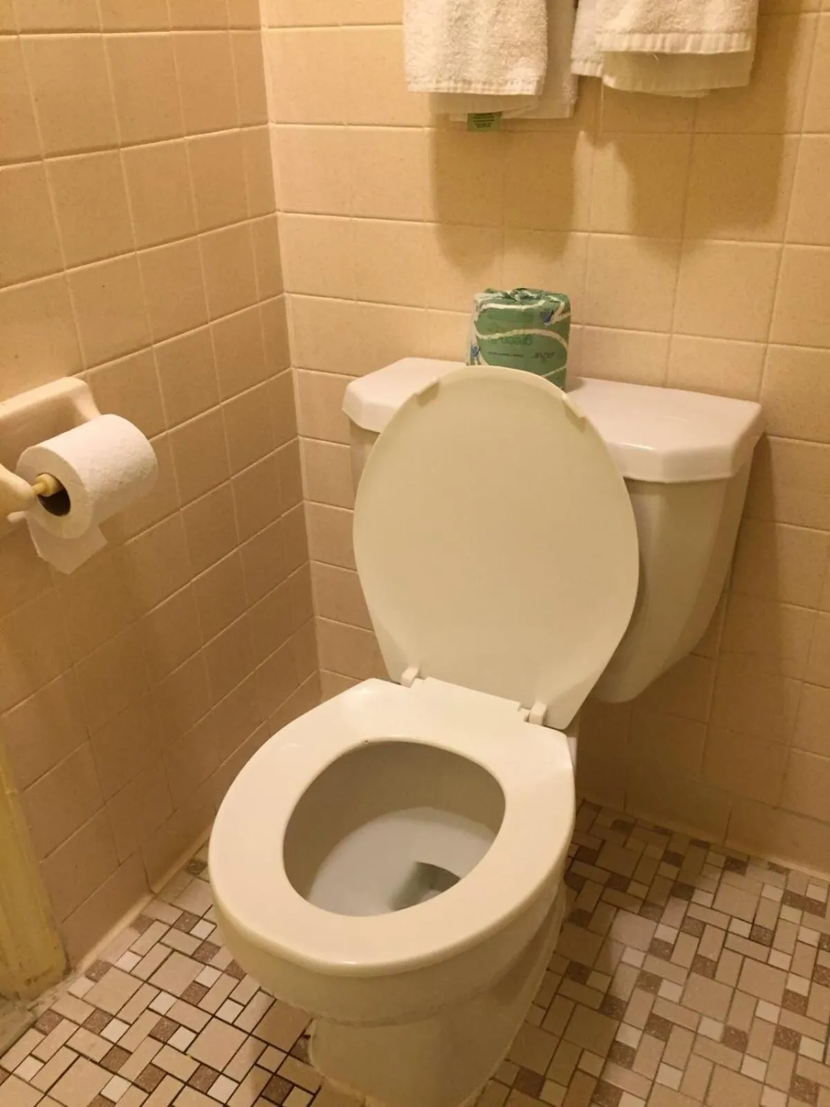 Toilet in Ross Motel