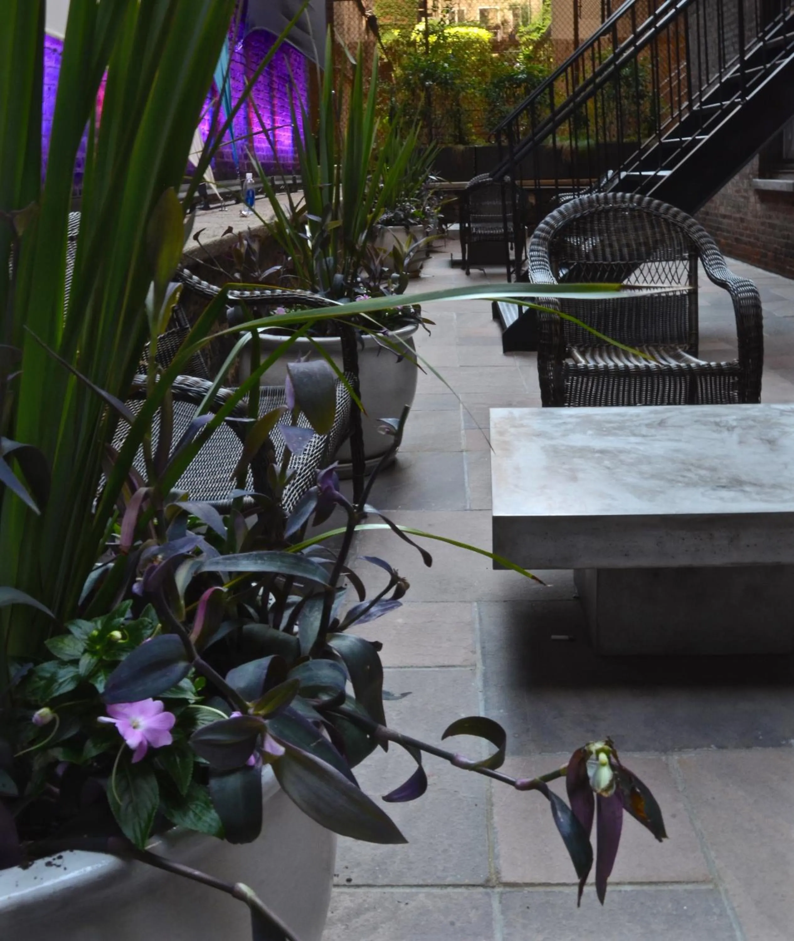 Patio in Seton Hotel