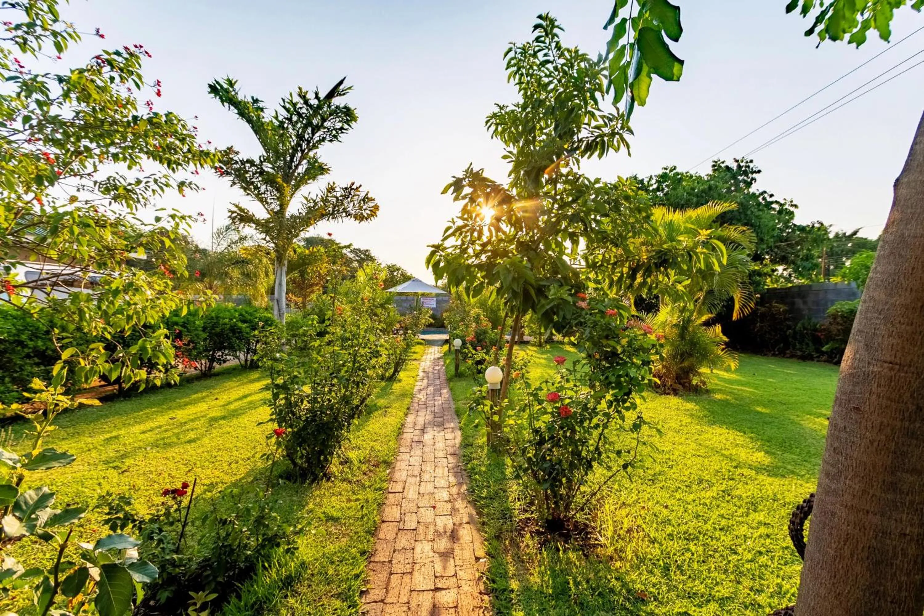 Day in Dzimbahwe Guest Lodge