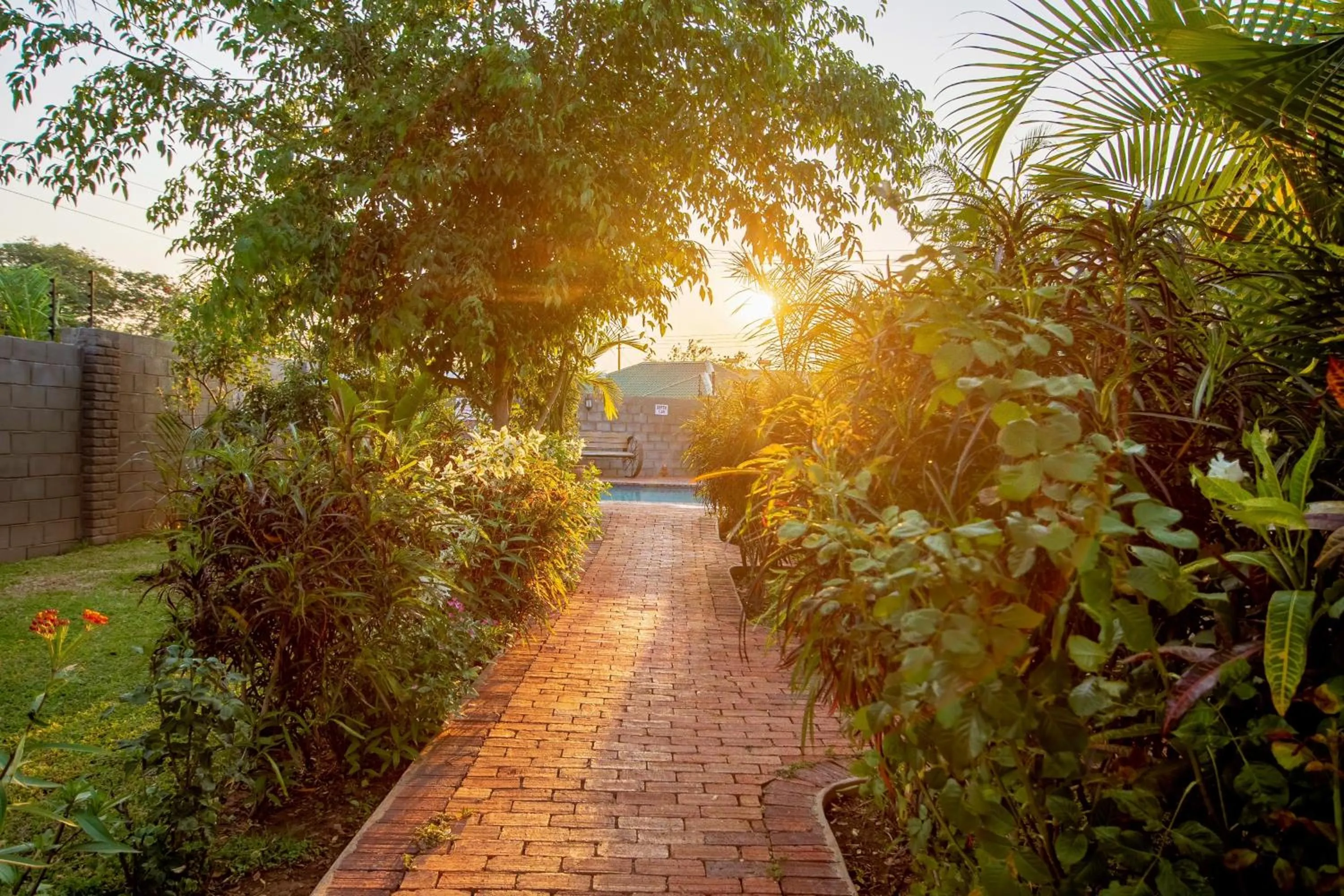 Garden in Dzimbahwe Guest Lodge