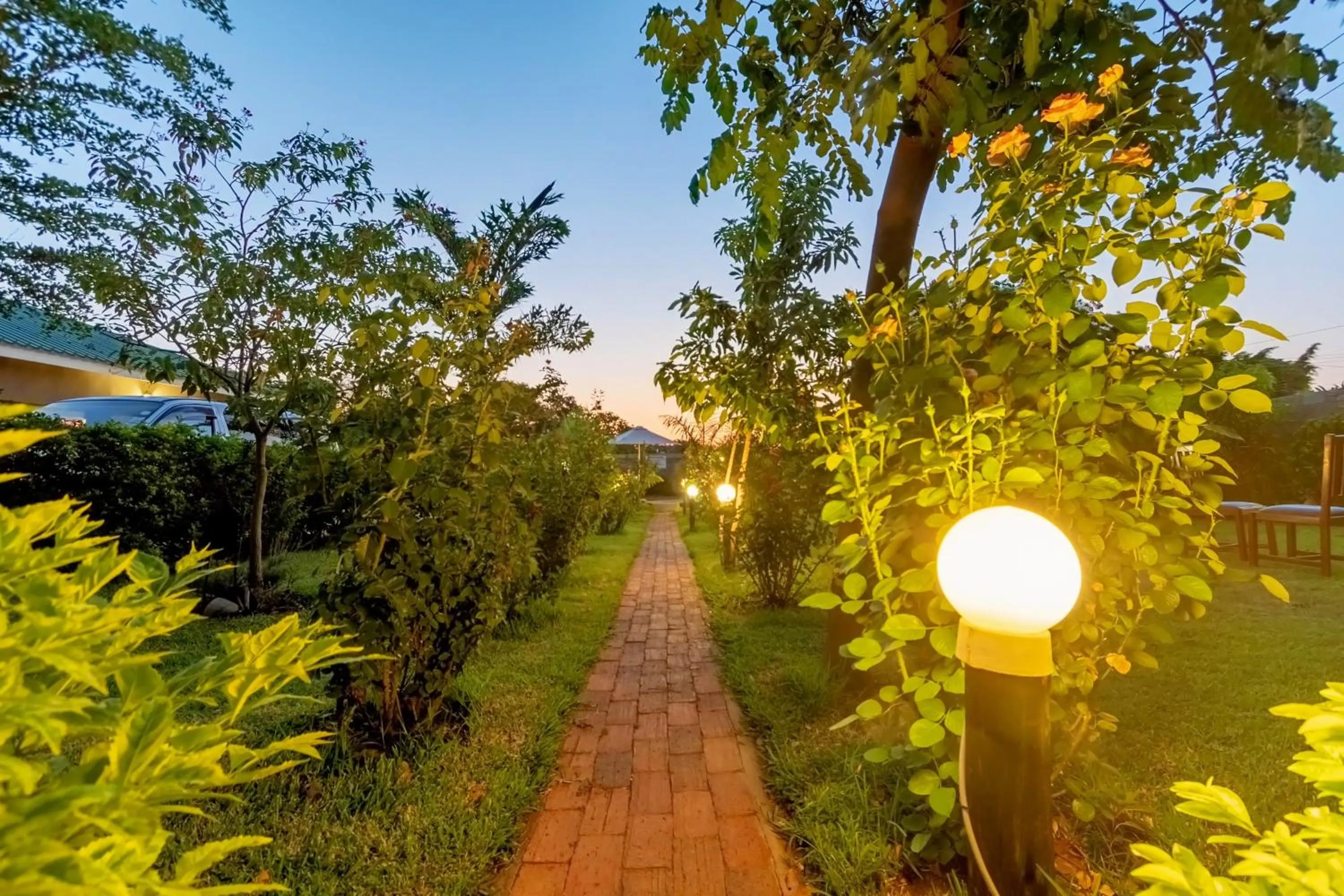 Garden in Dzimbahwe Guest Lodge