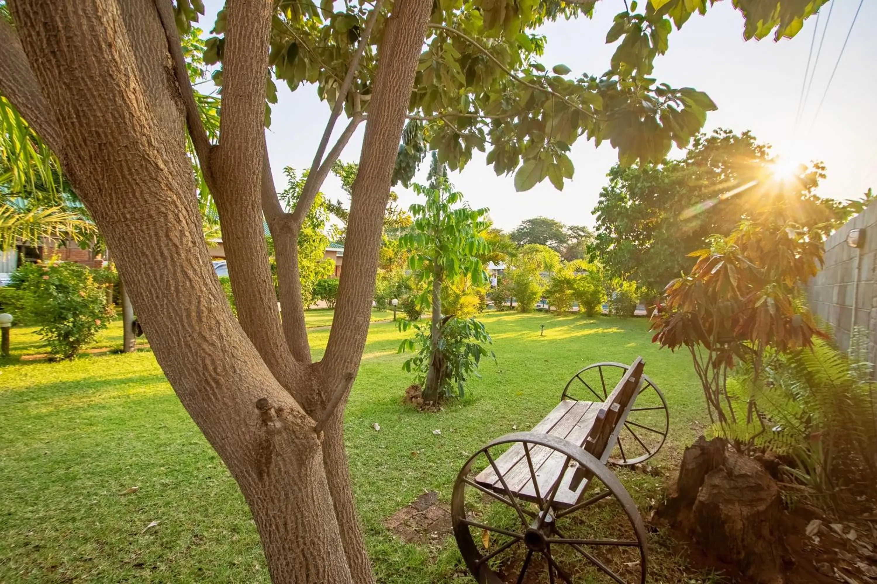Garden in Dzimbahwe Guest Lodge