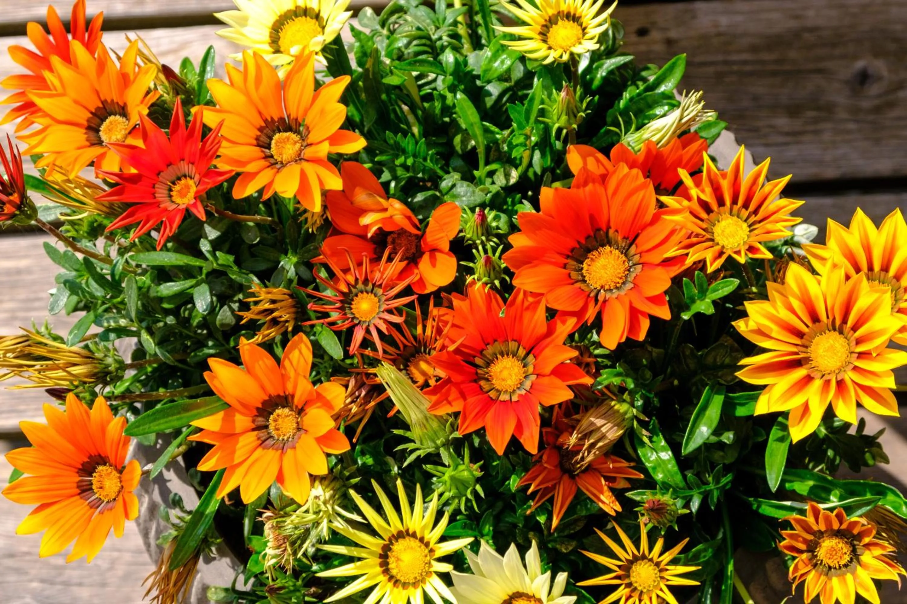 Property building in Hotel Petersboden