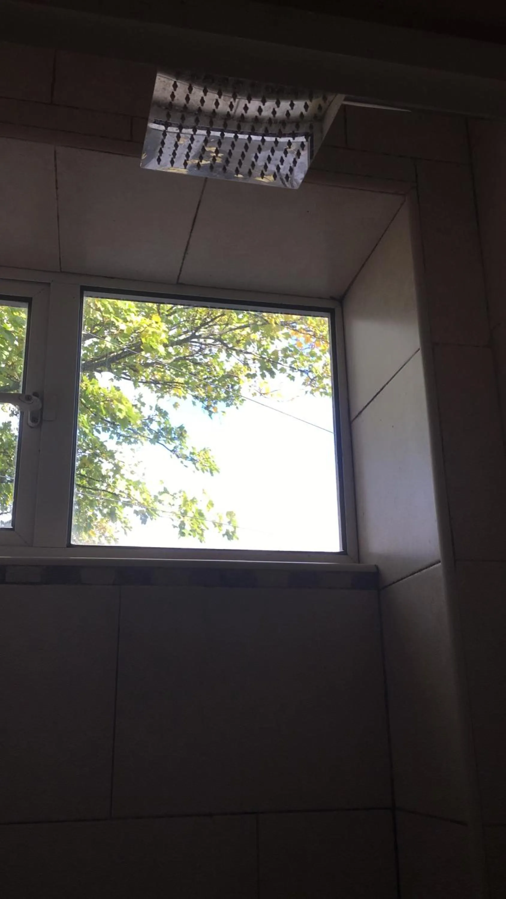 The Bull and Bush Hotel Kingston