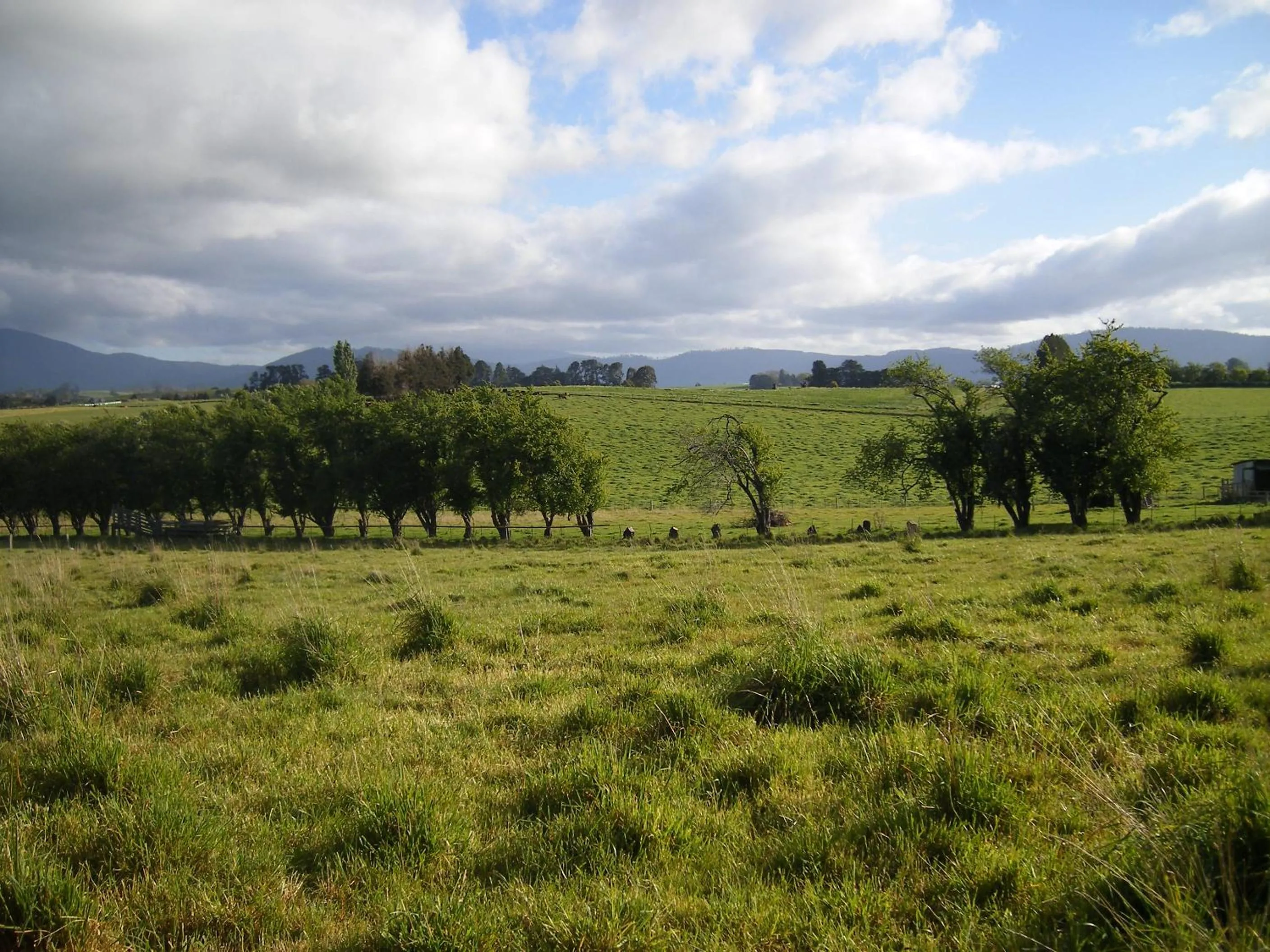 Natural landscape in Bella Villa