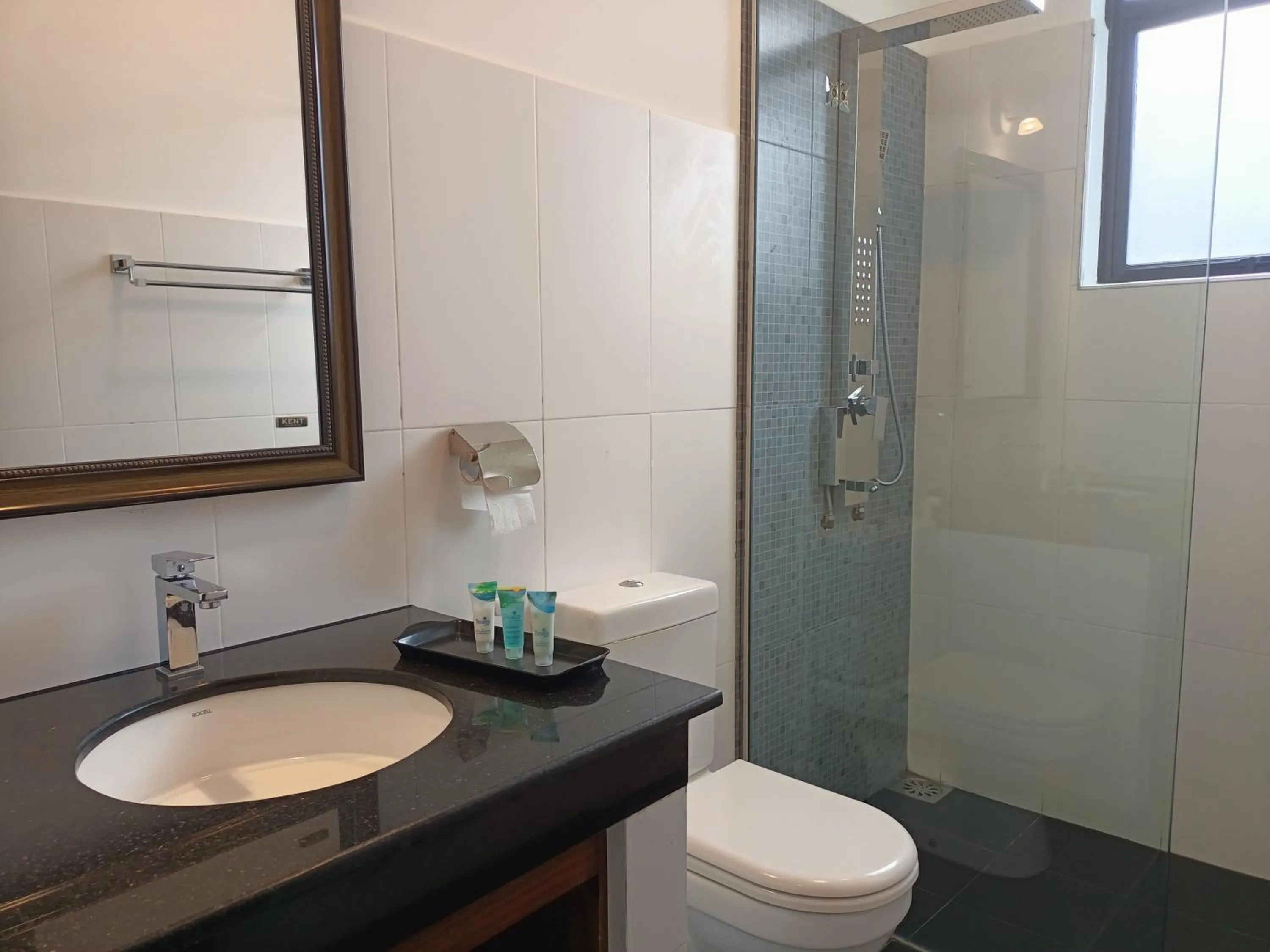 Shower in Idyllic Vista