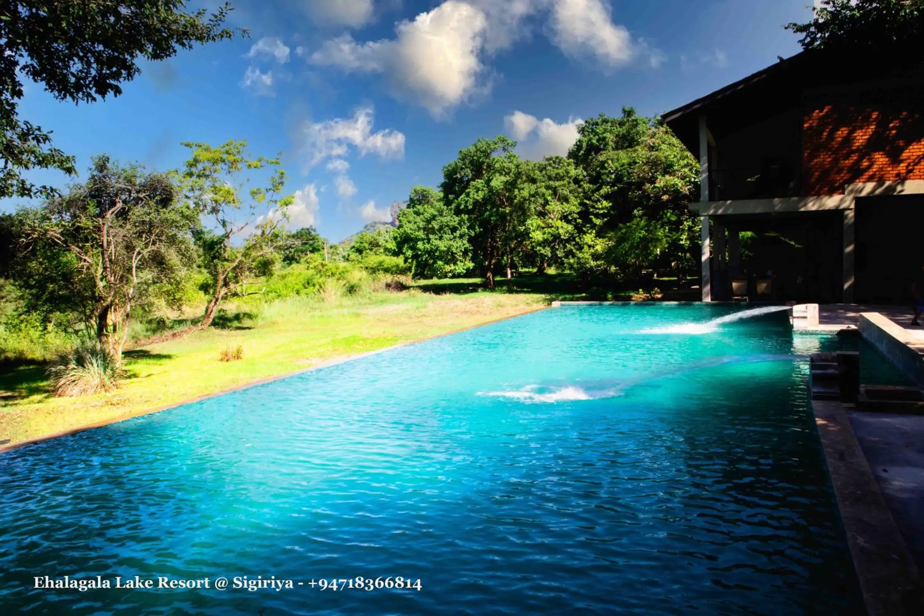 Swimming pool in Ehalagala Lake Resort Swimming pool in Ehalagala Lake Resort