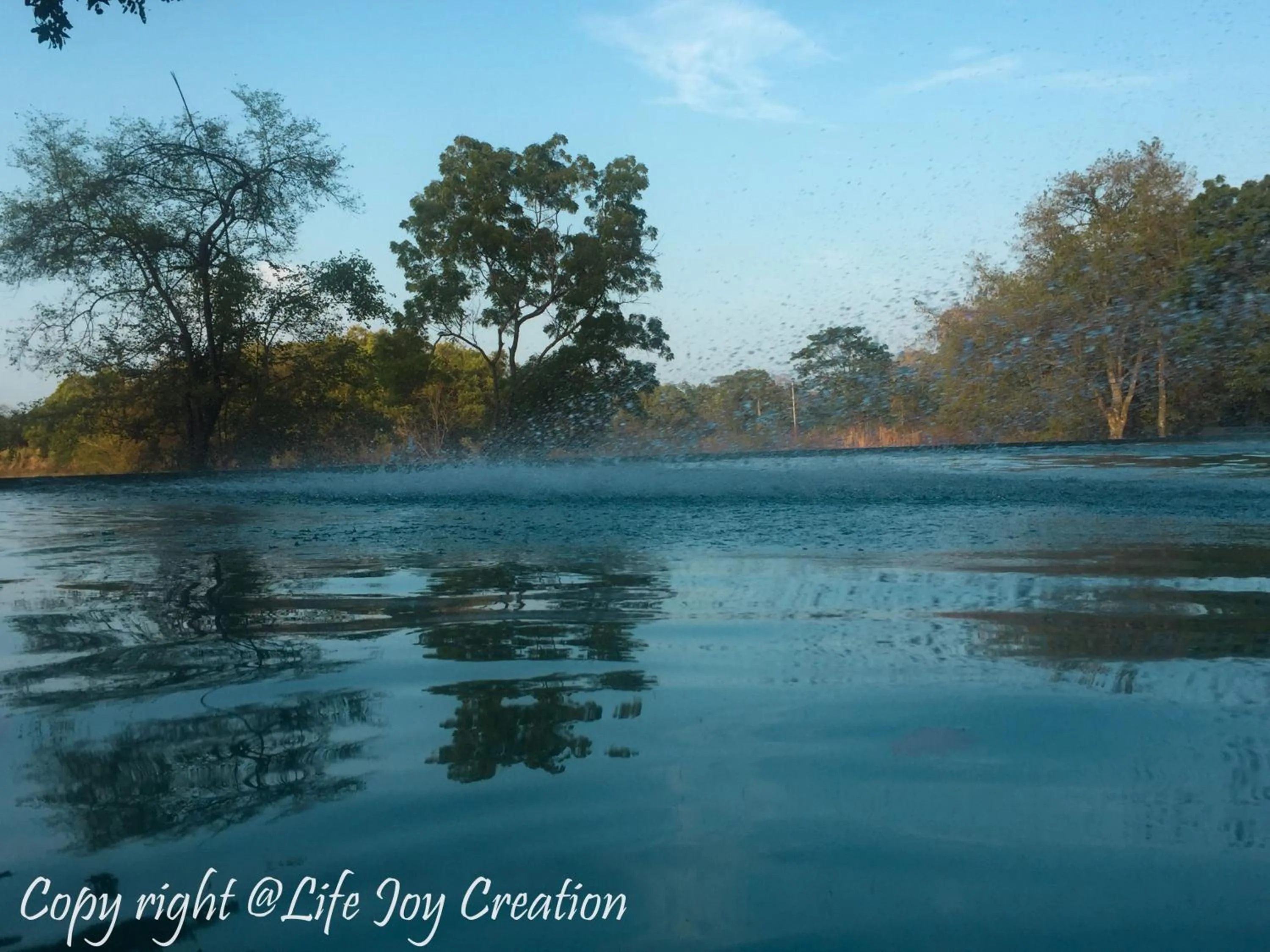 Pool view in Ehalagala Lake Resort