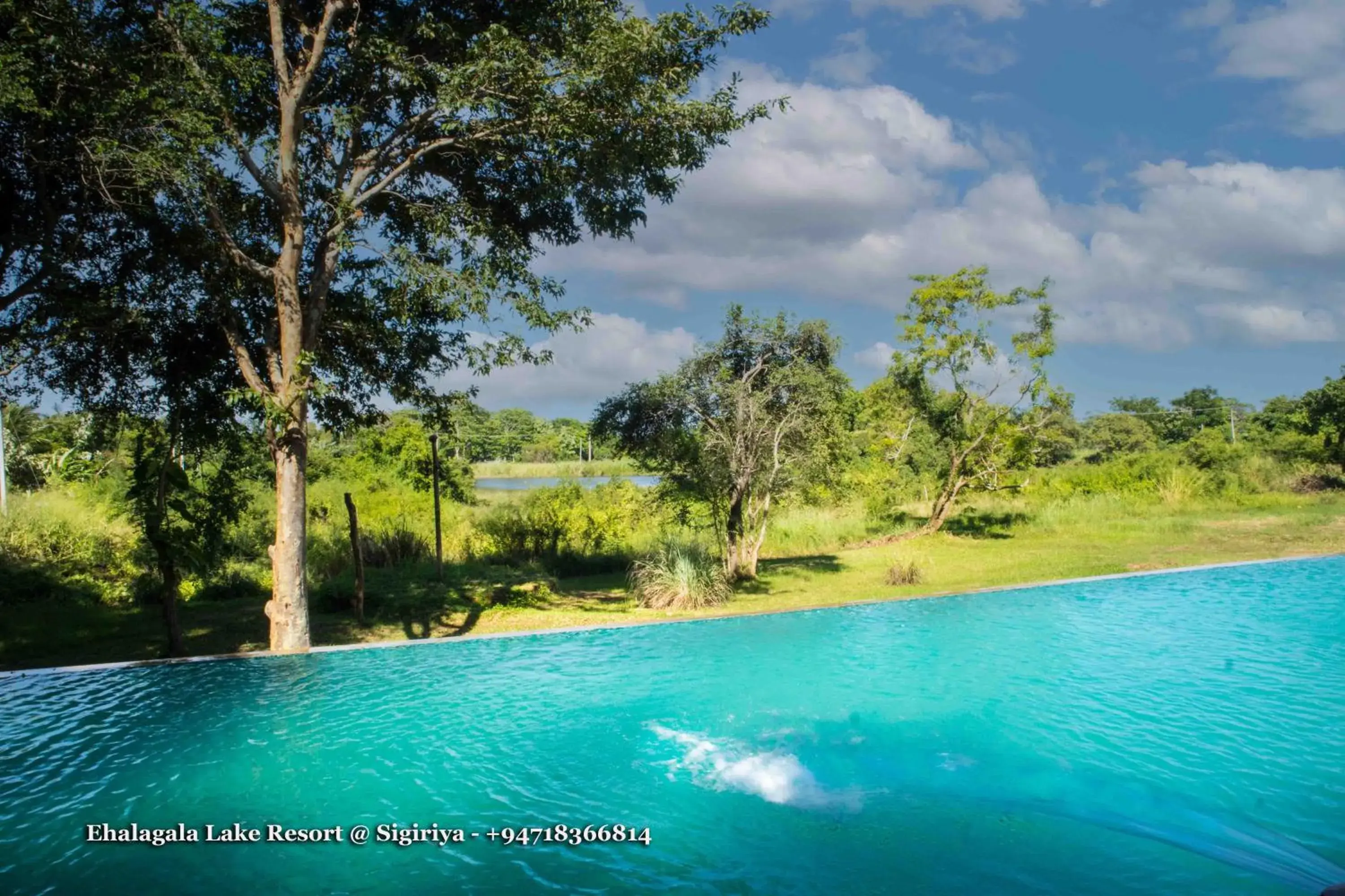 Swimming pool in Ehalagala Lake Resort Swimming pool in Ehalagala Lake Resort