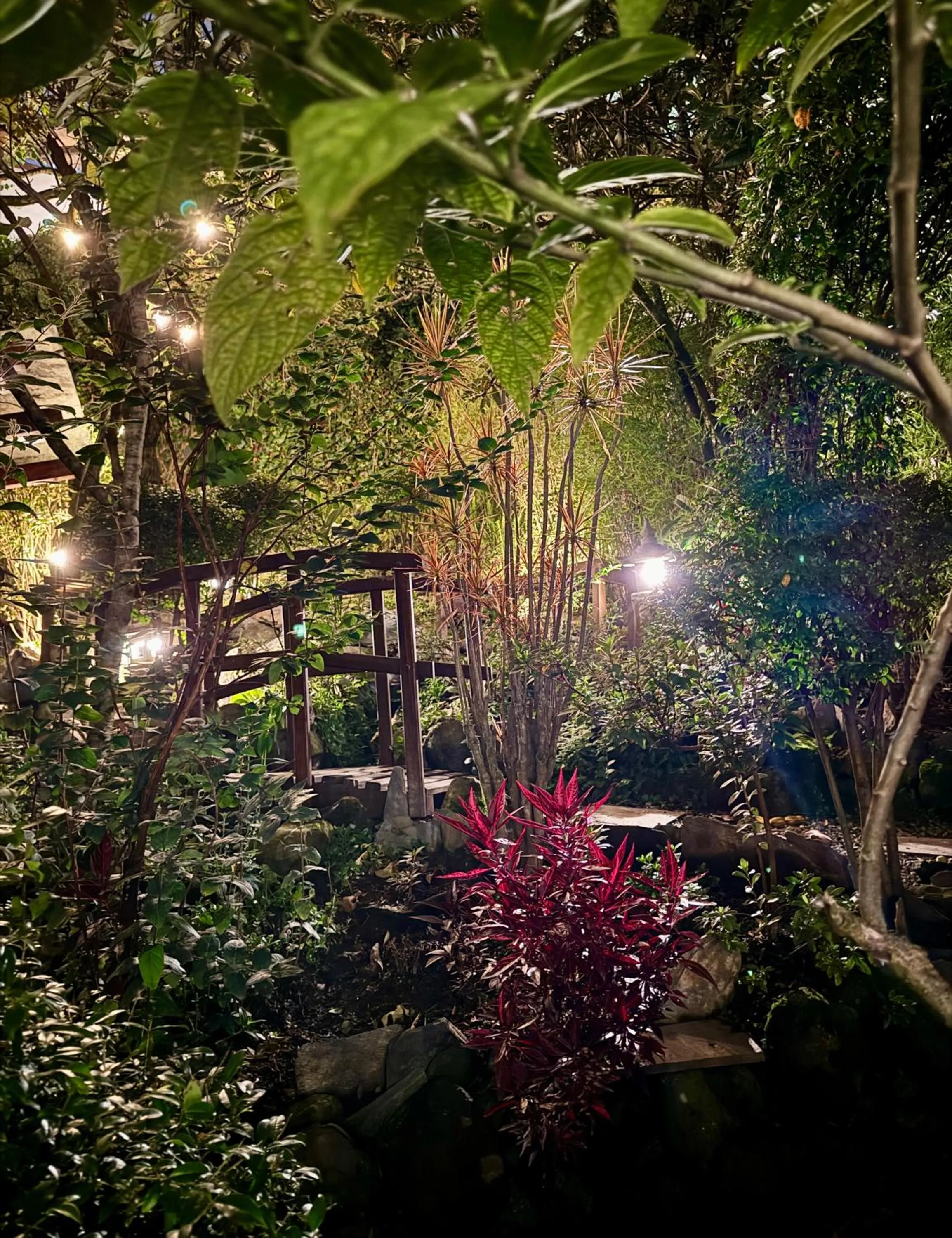 Garden in Vista del Angel Hotel Boutique