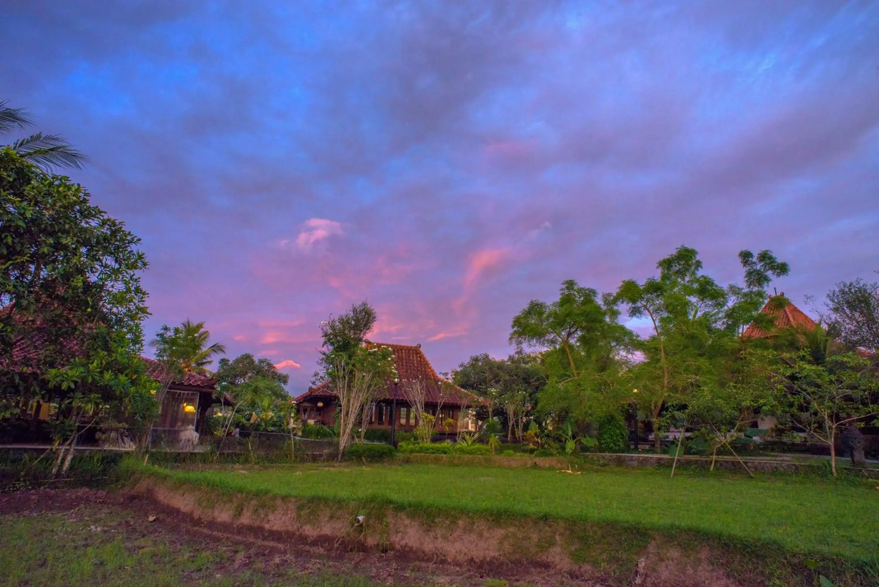 View (from property/room) in Java Village Resort by HOMEE Yogyakarta View (from property/room) in Java Village Resort by HOMEE Yogyakarta