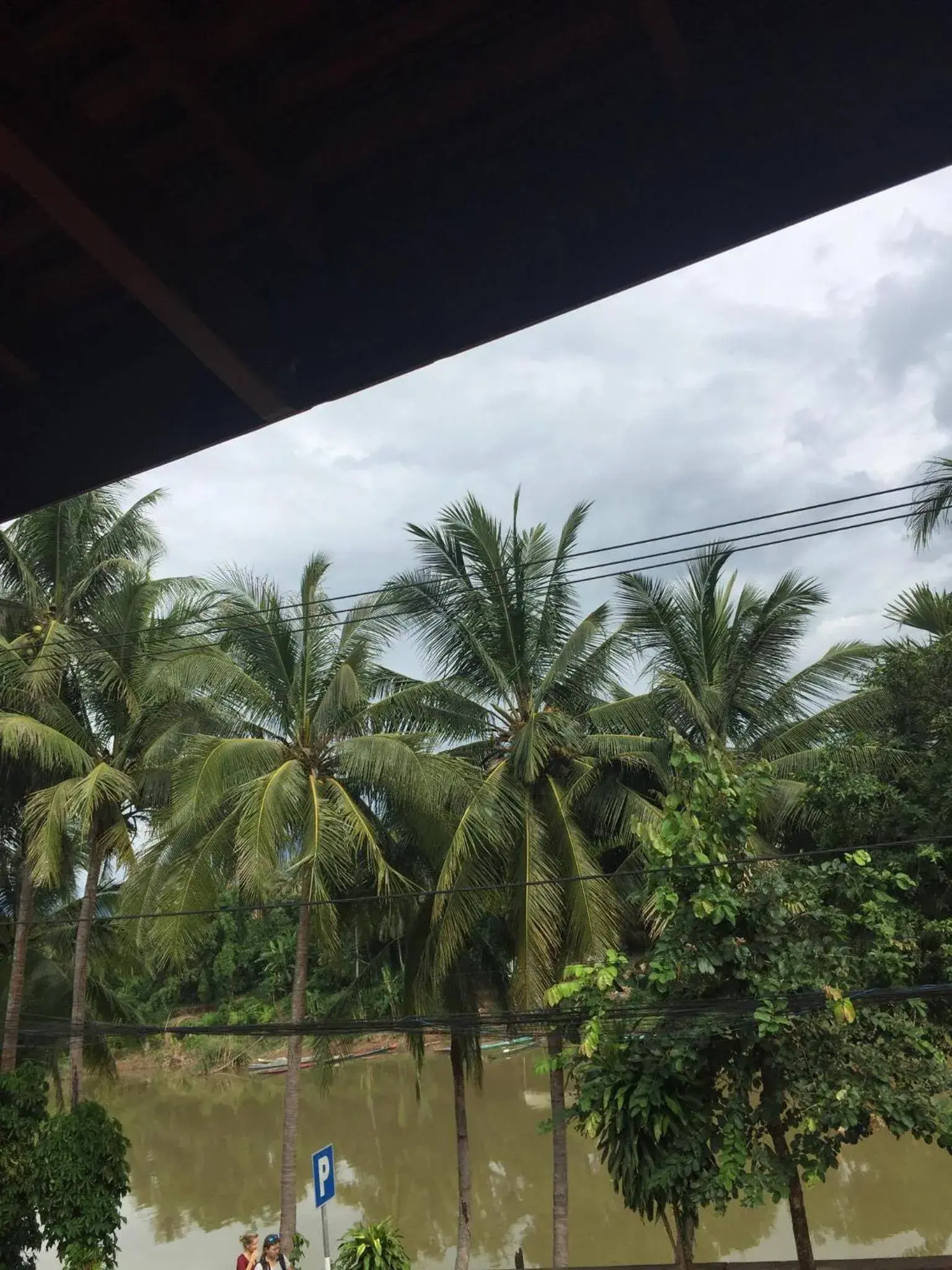 Golden Lotus Namkhan View Golden Lotus Namkhan View