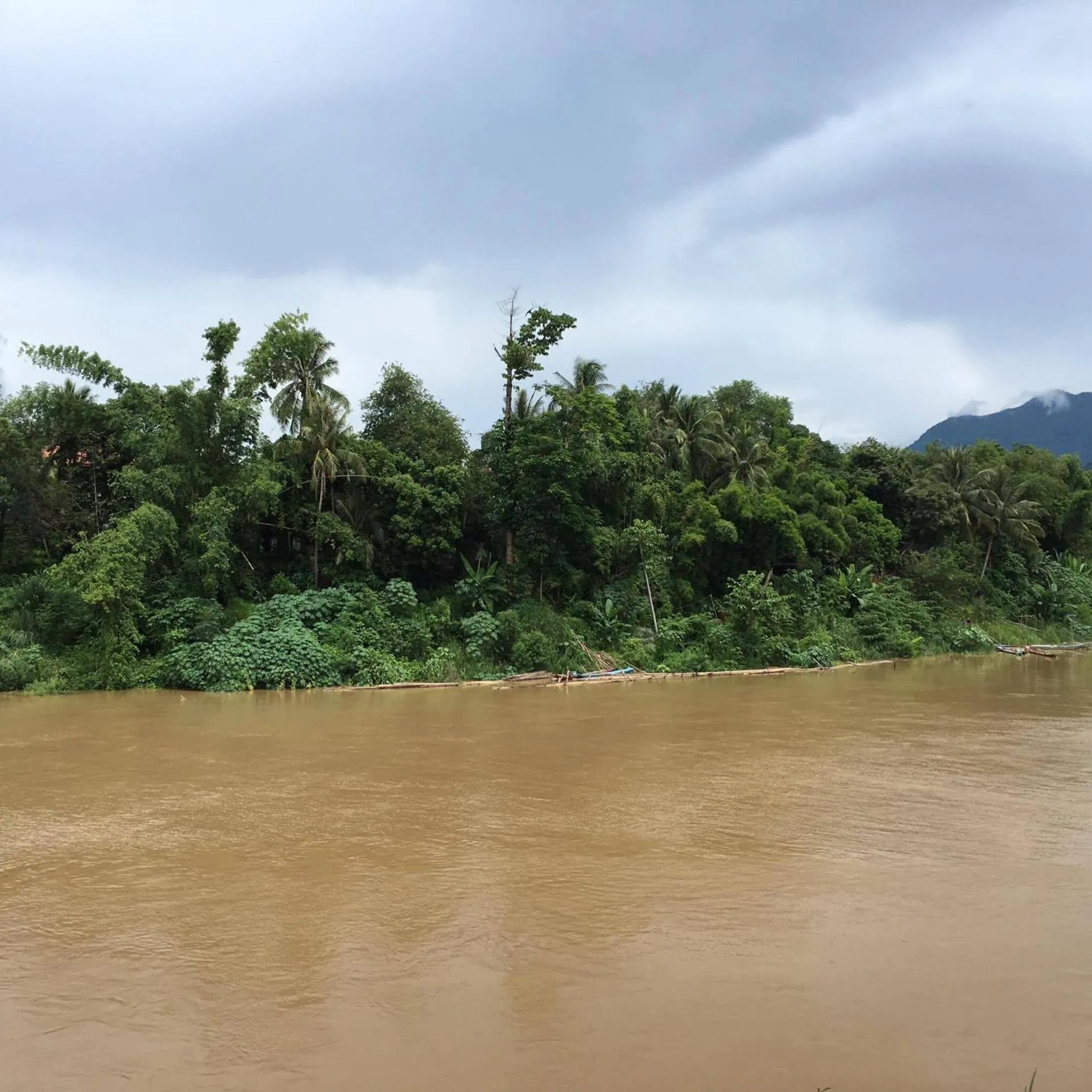 Golden Lotus Namkhan View